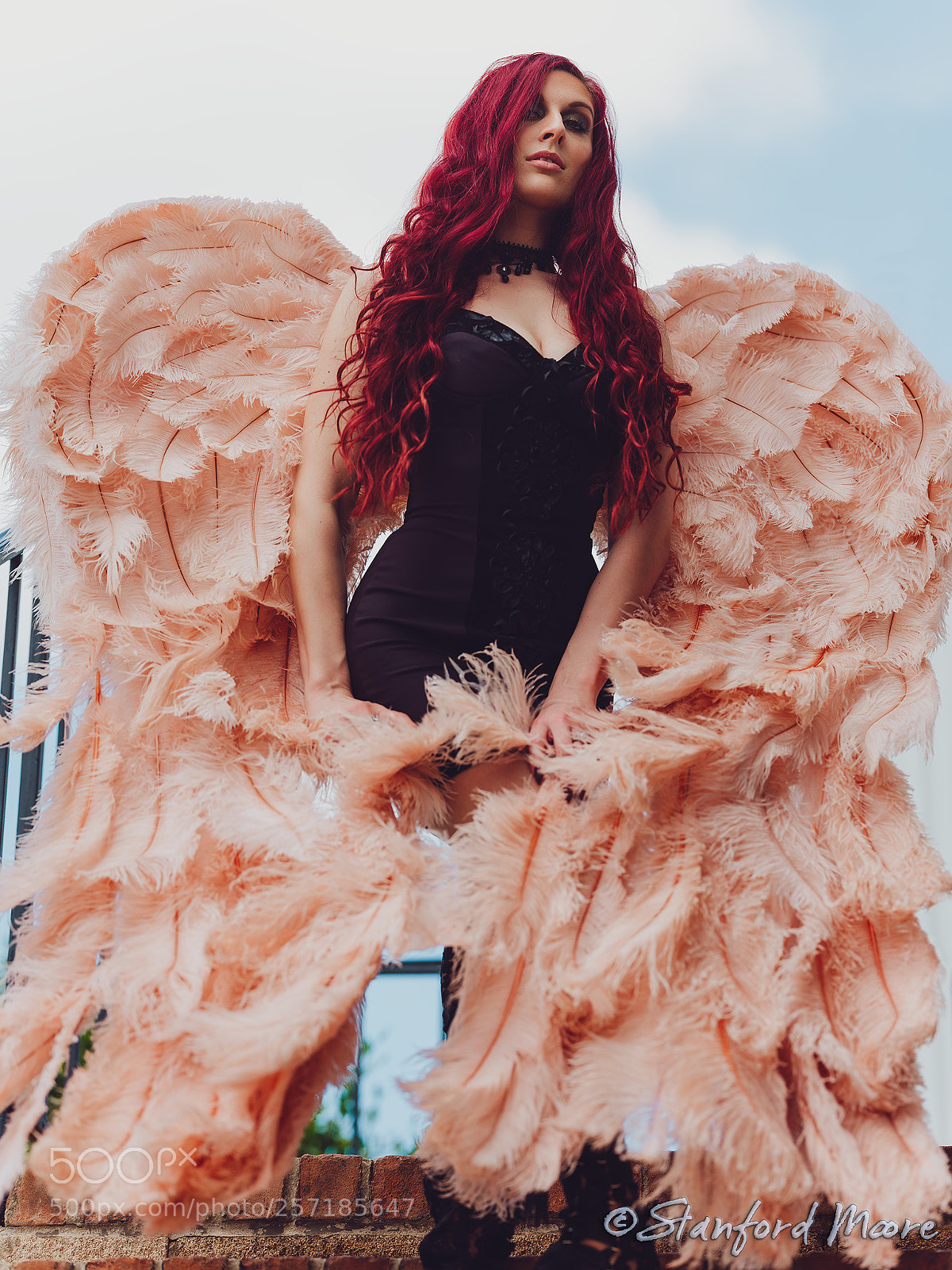 Fujifilm GFX 50S sample photo. Polly photography