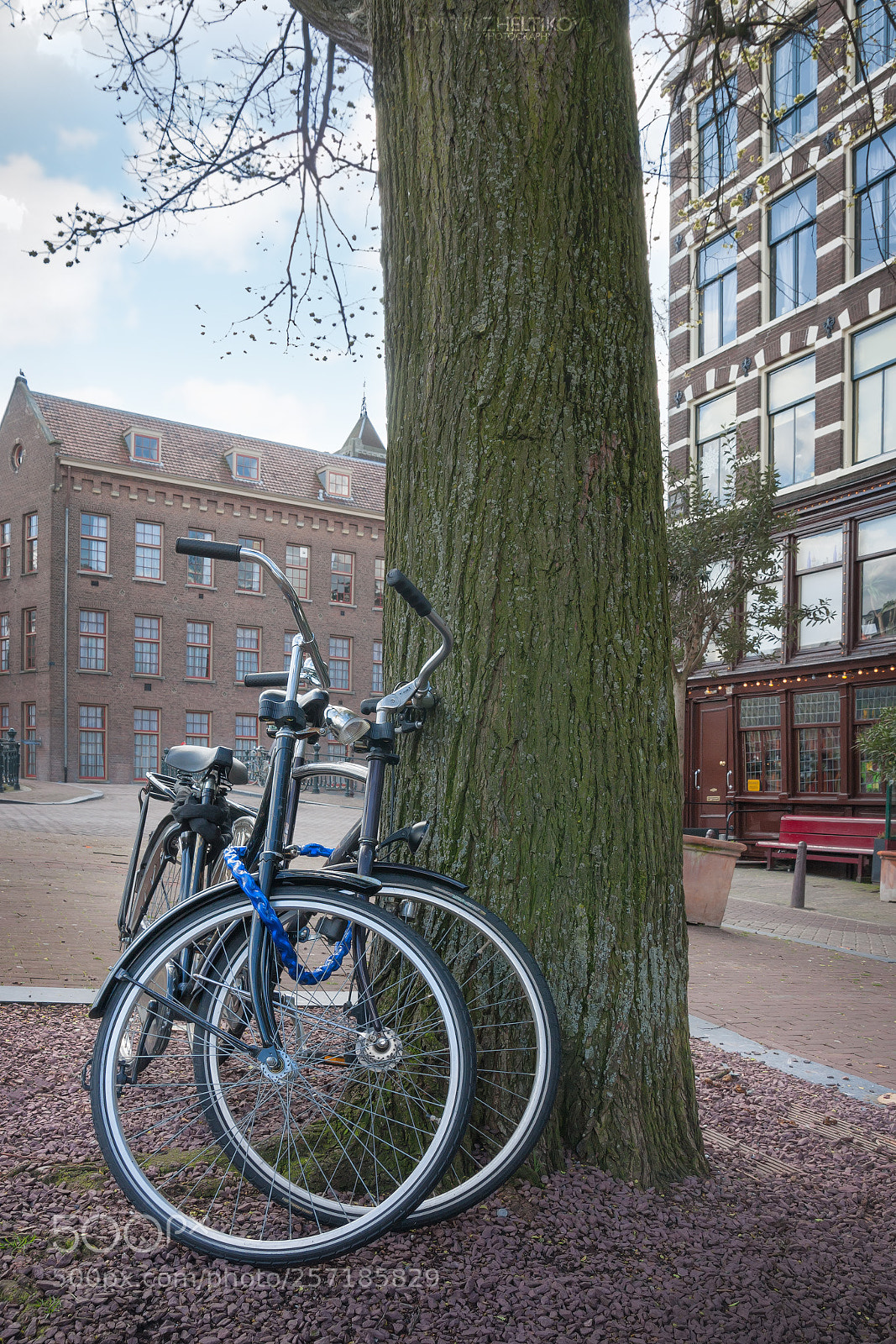 Canon EOS 40D sample photo. Couple under the tree photography