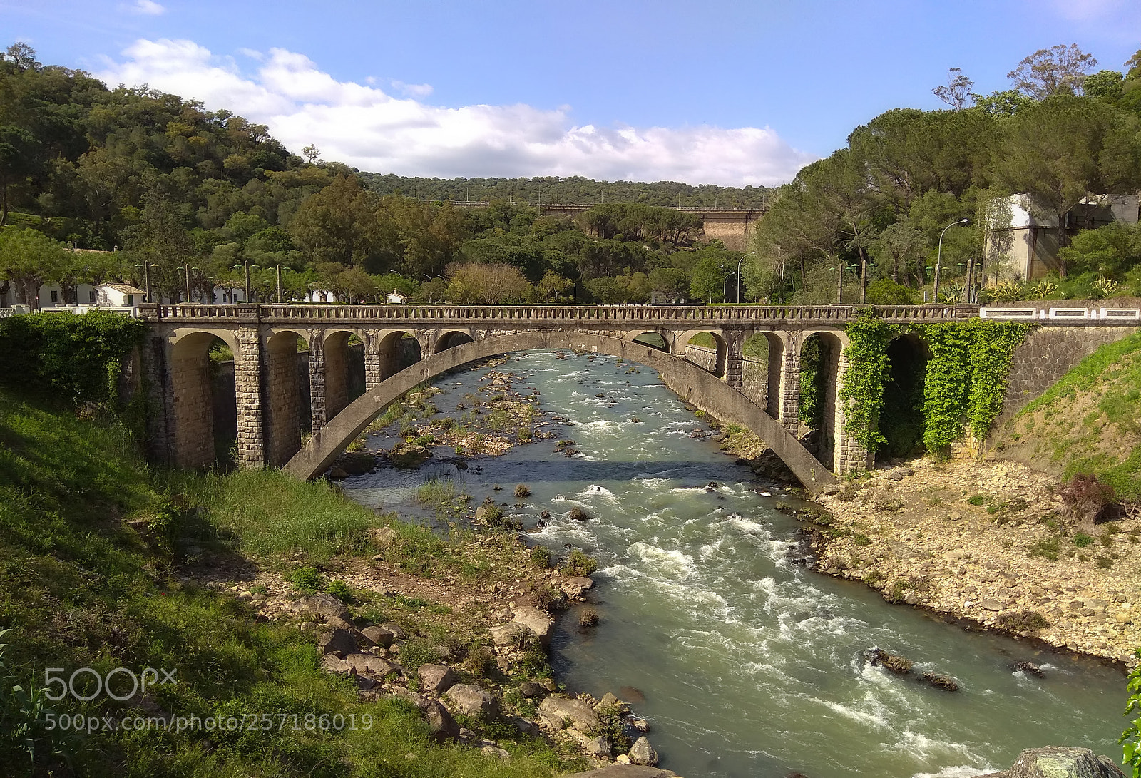 Xiaomi Redmi Note 4 sample photo. 165 photography