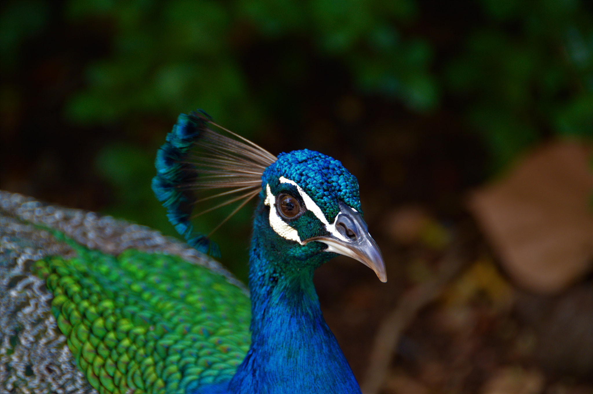 Nikon D3200 sample photo. Edit photography