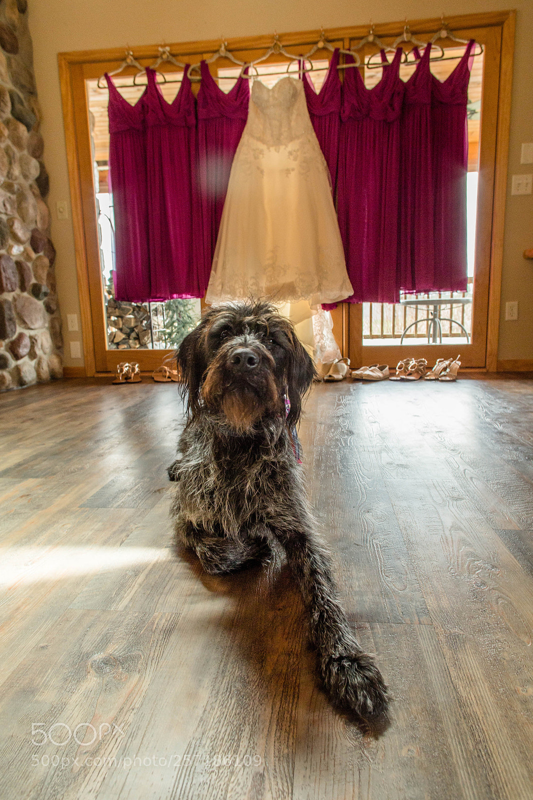 Canon EOS 6D sample photo. Guarding the dress photography