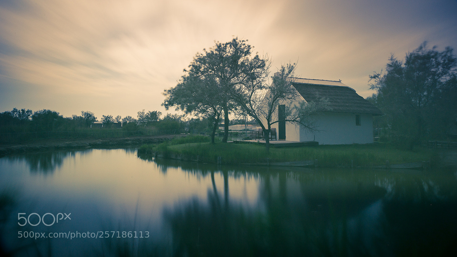 Canon EOS 6D sample photo. Camargue photography
