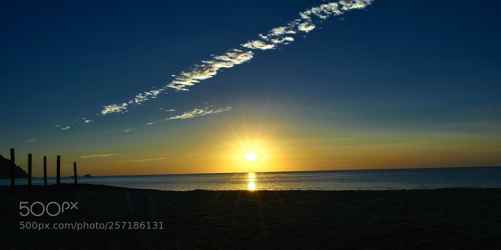 Nikon D3400 sample photo. Sun shine photography