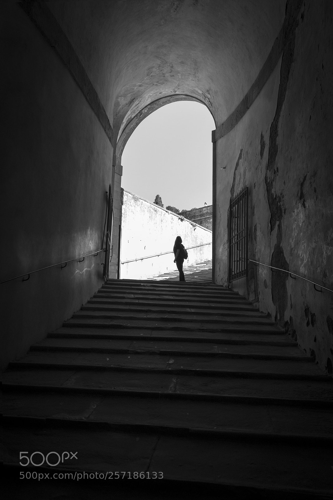 Nikon D3100 sample photo. Walking in my shoes photography