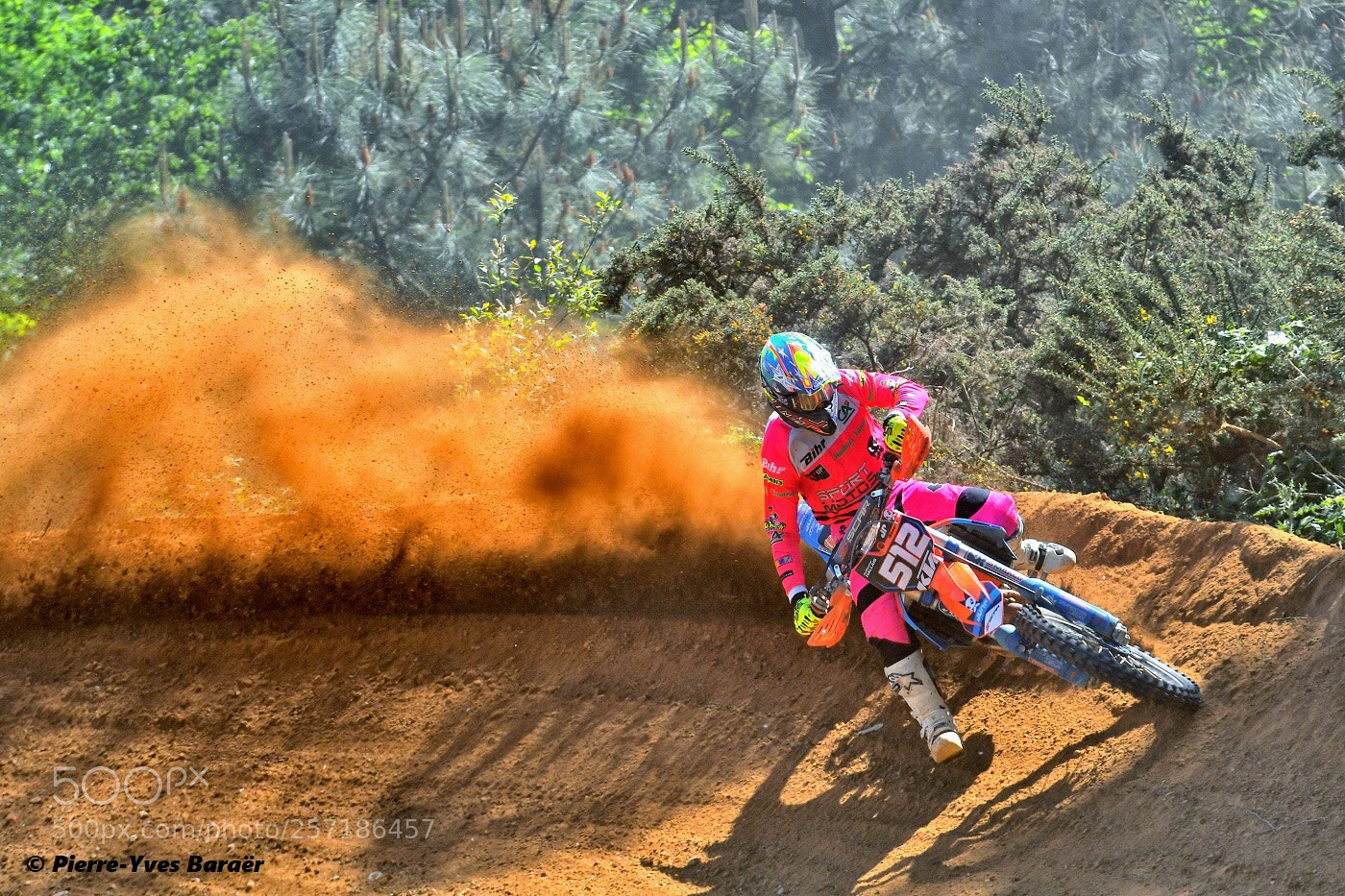 Nikon D500 sample photo. Dust master! photography