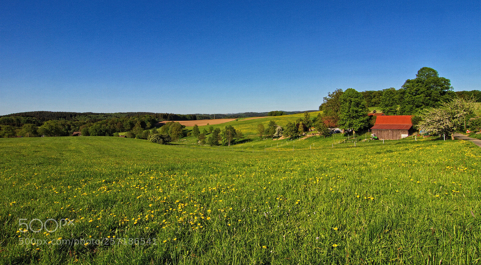 Canon EOS 7D sample photo. Springtime ii photography