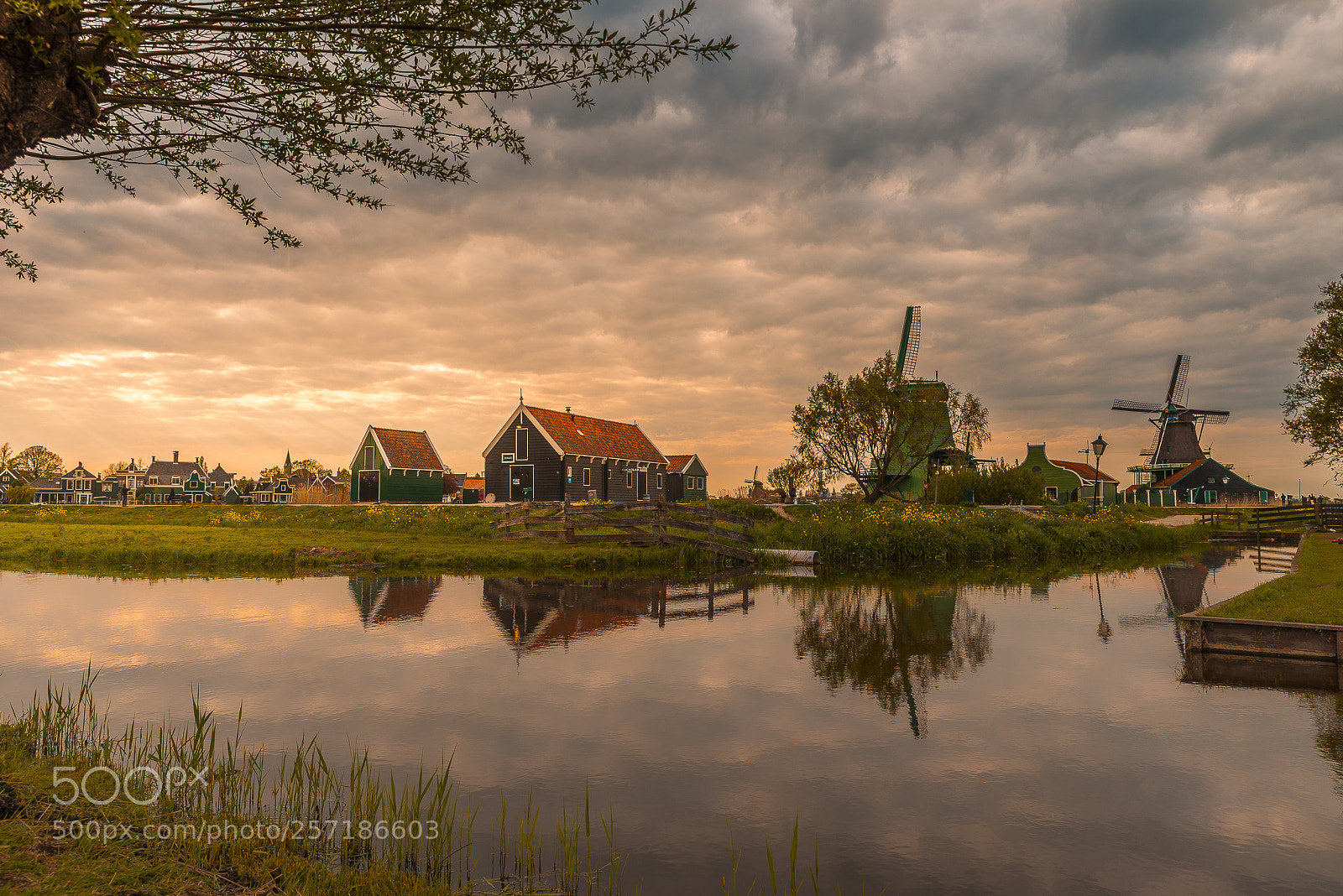 Nikon D610 sample photo. Beautiful sunset in zaanse photography