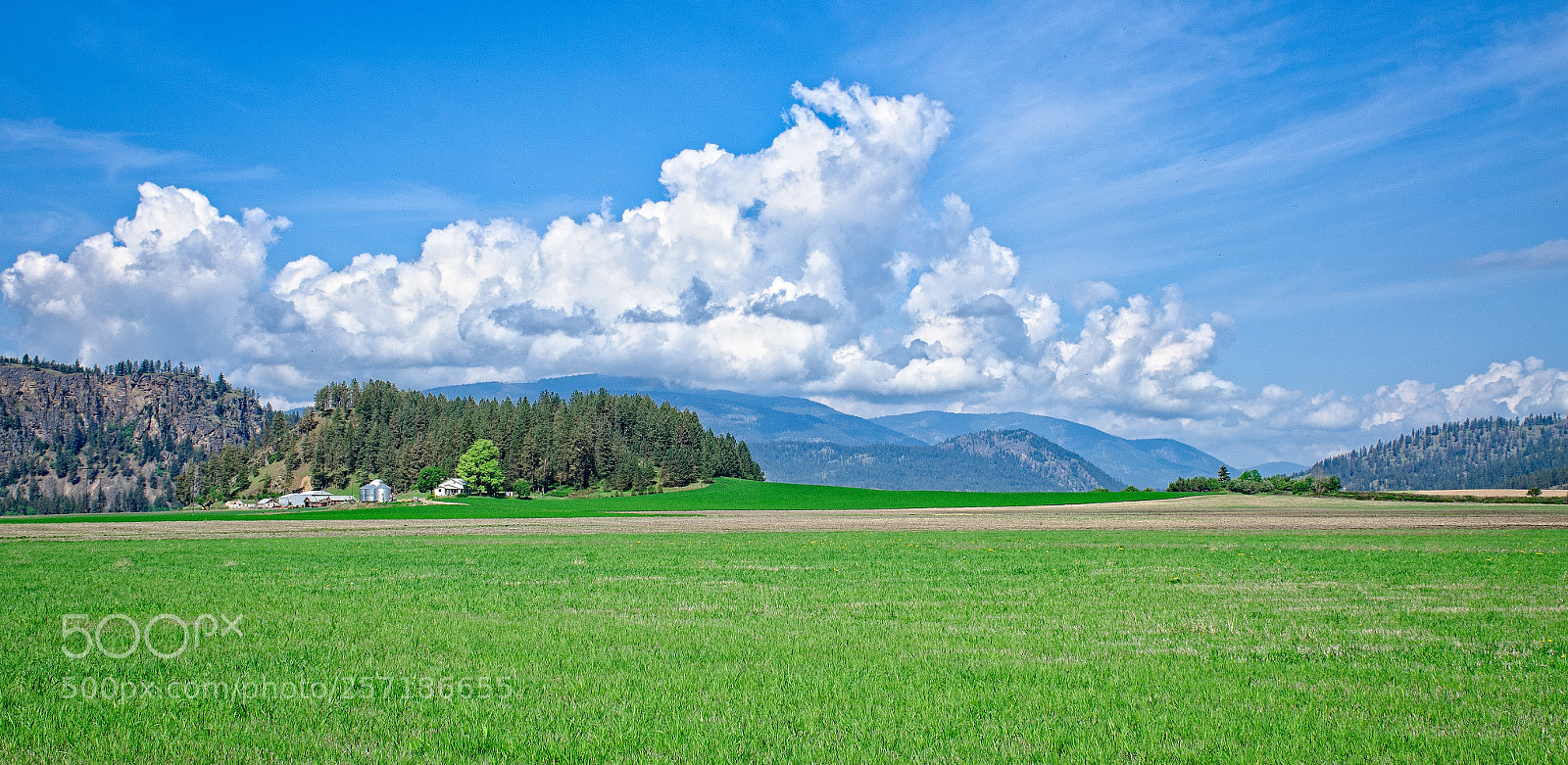 Nikon D7000 sample photo. Thunder head photography