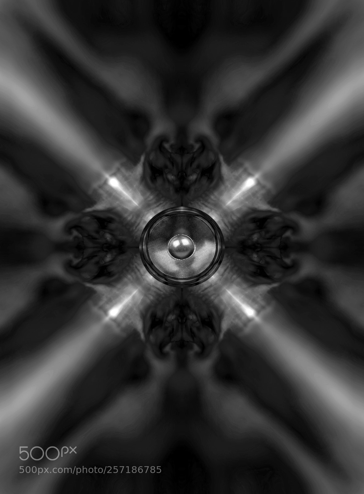 Canon EOS 40D sample photo. Black and white kaleidoscope photography