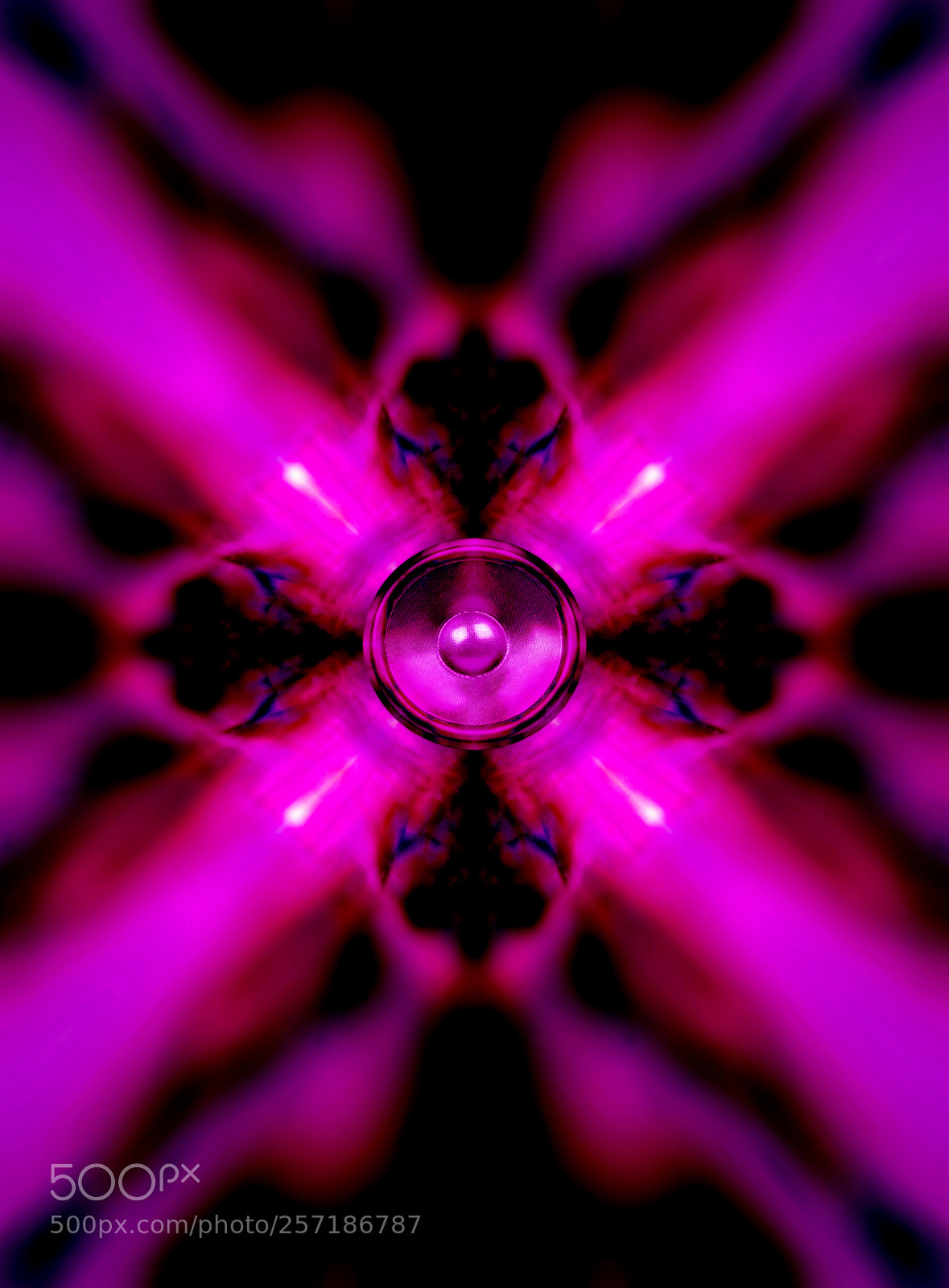 Canon EOS 40D sample photo. Pink kaleidoscope music speaker photography