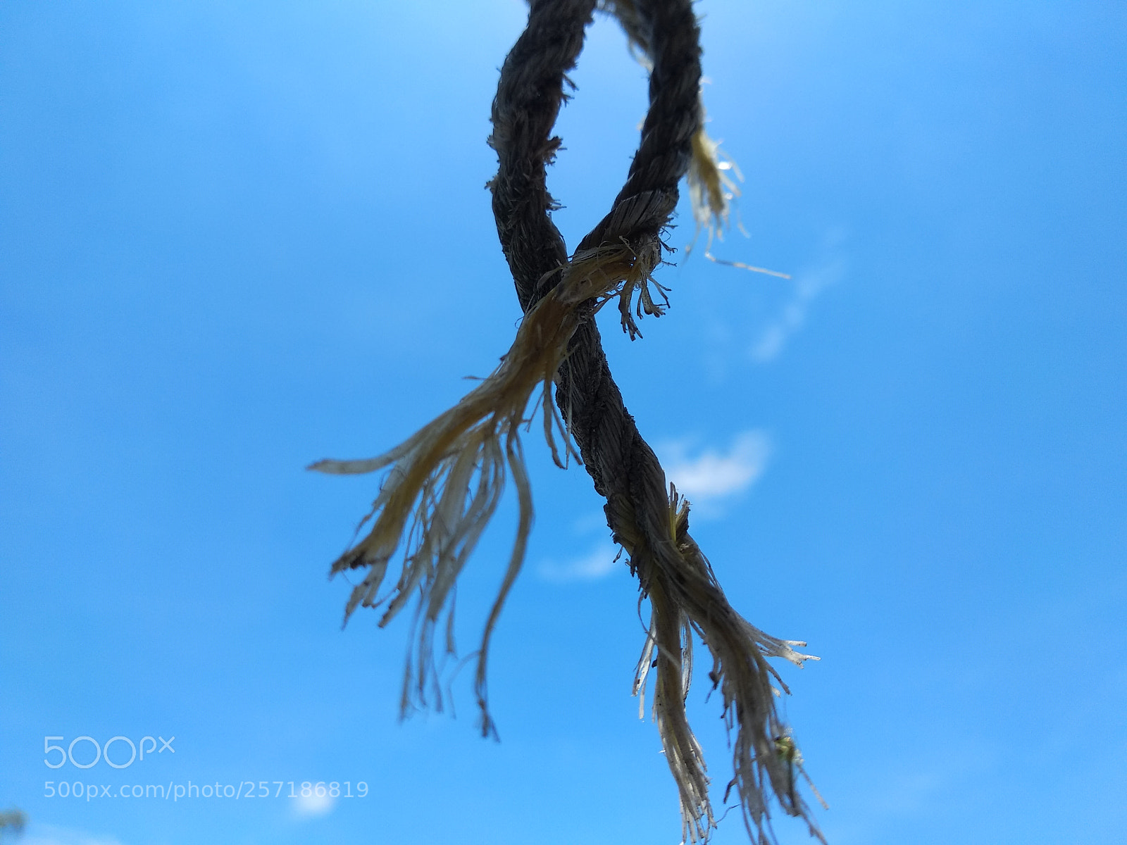 Xiaomi Mi A1 sample photo. Rope photography
