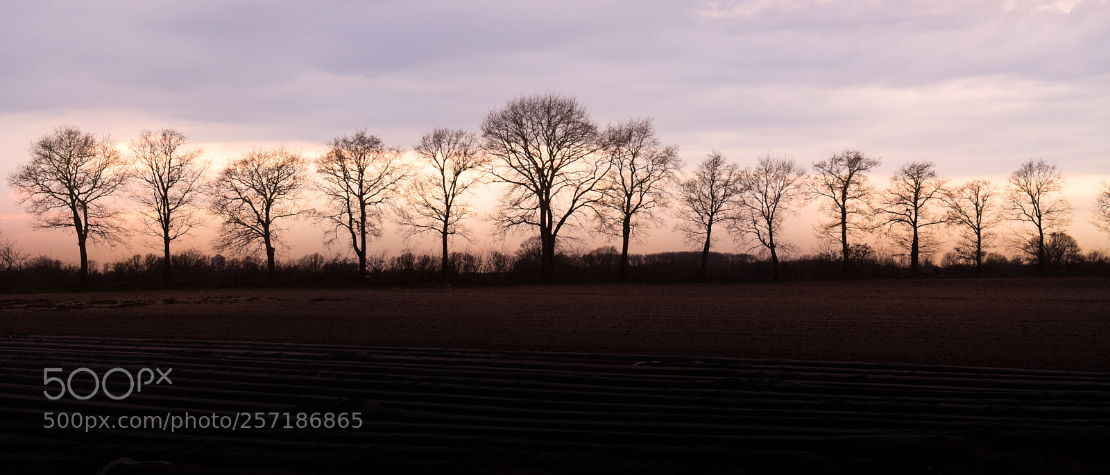 Nikon D5300 sample photo. Denhelder evening photography
