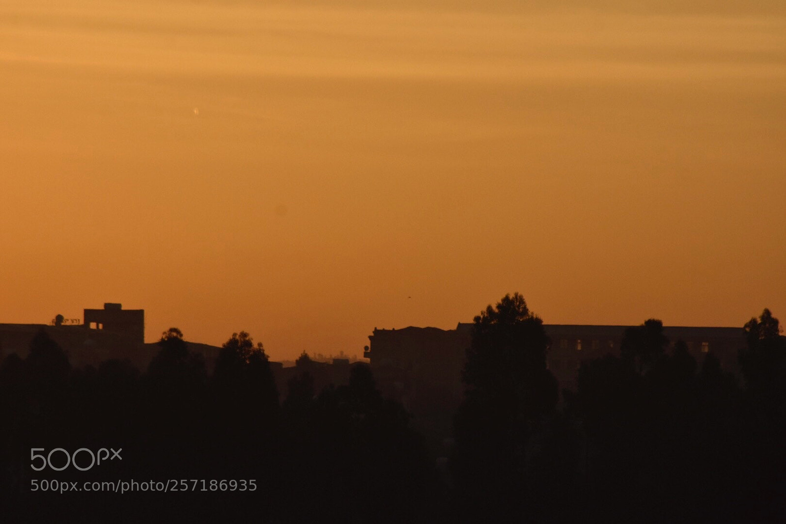 Nikon D7200 sample photo. Early morning  photography