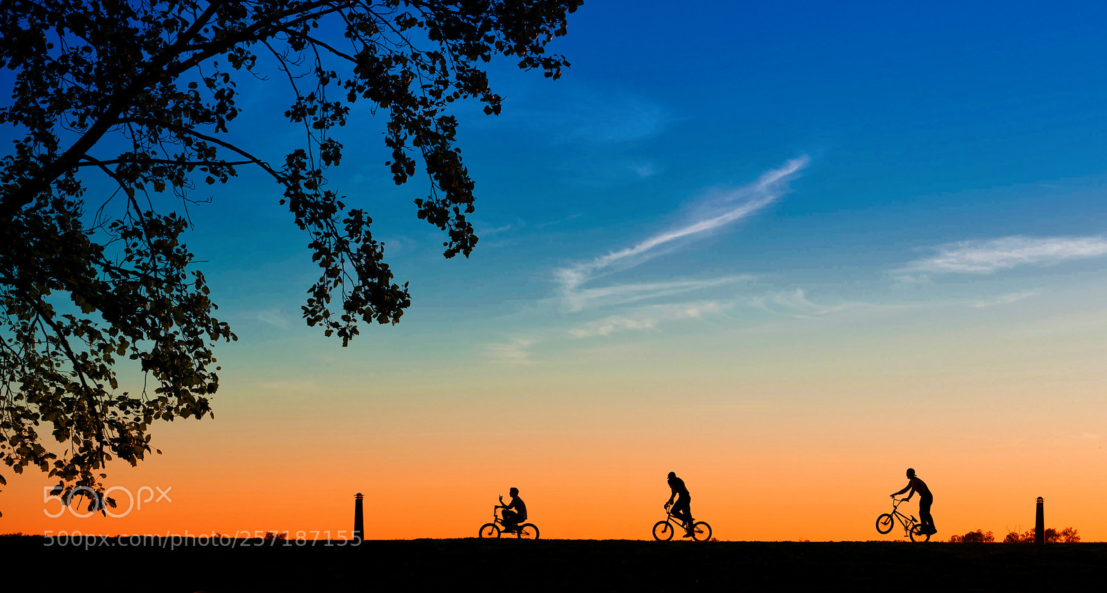 Sony a7R sample photo. Buddies and pals photography