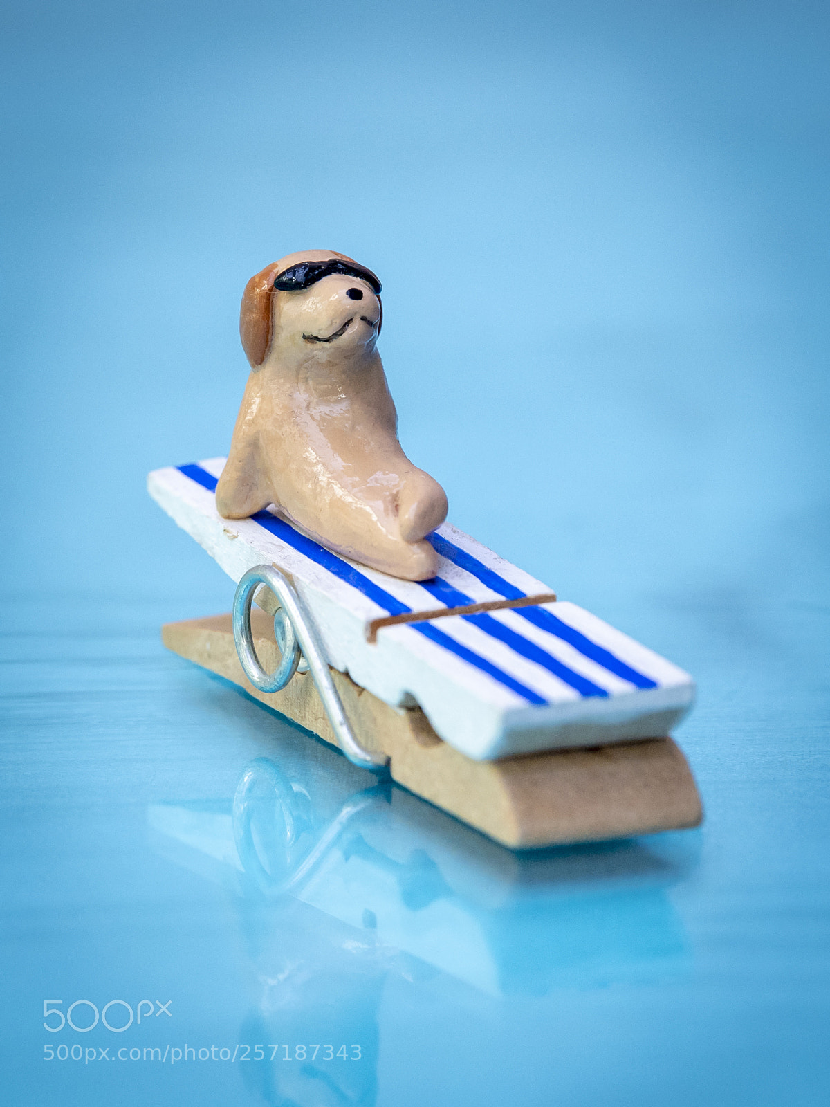 Nikon D5 sample photo. Sunbathing photography