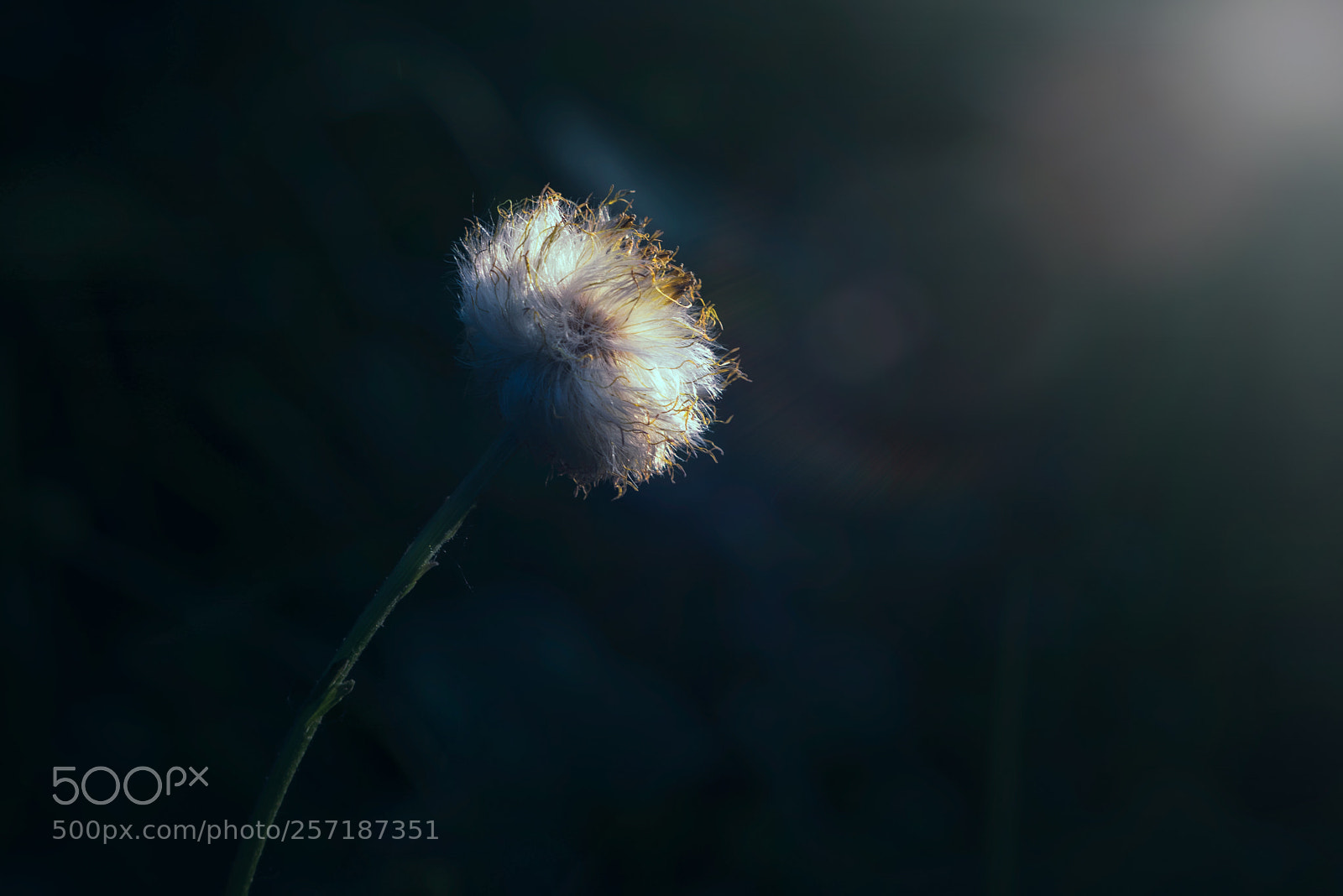 Nikon D810 sample photo. End of the day photography