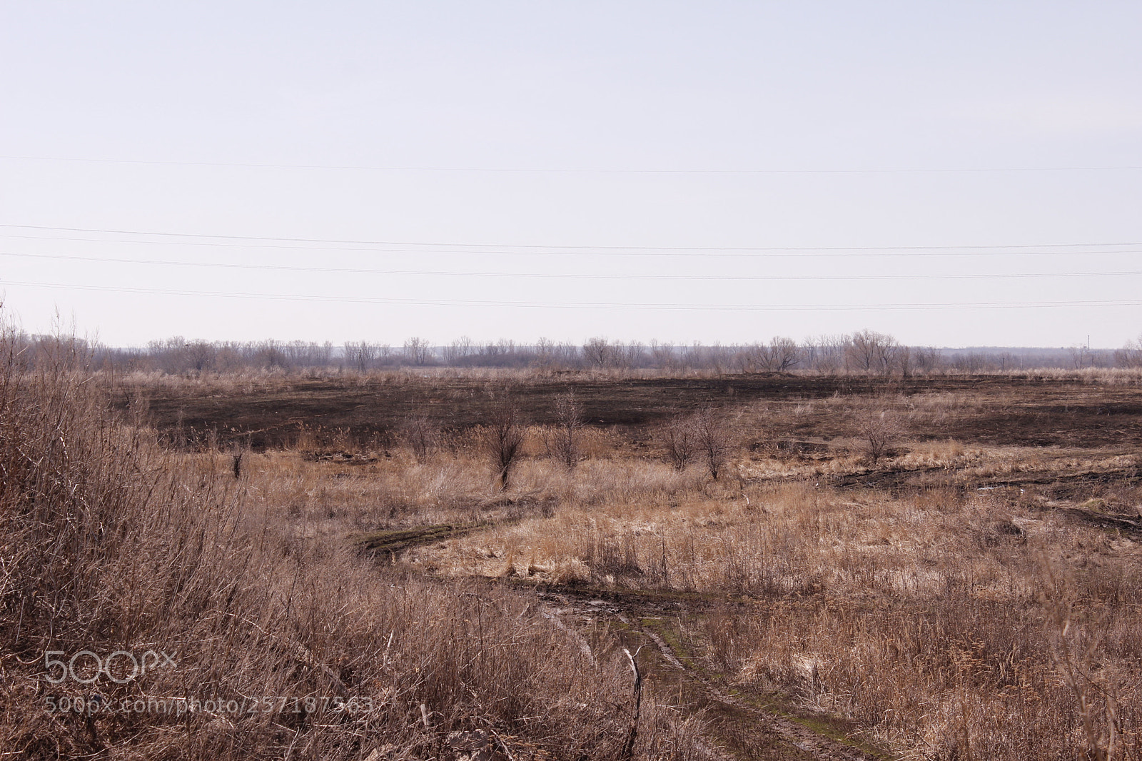 Canon EOS 600D (Rebel EOS T3i / EOS Kiss X5) sample photo. Mg photography