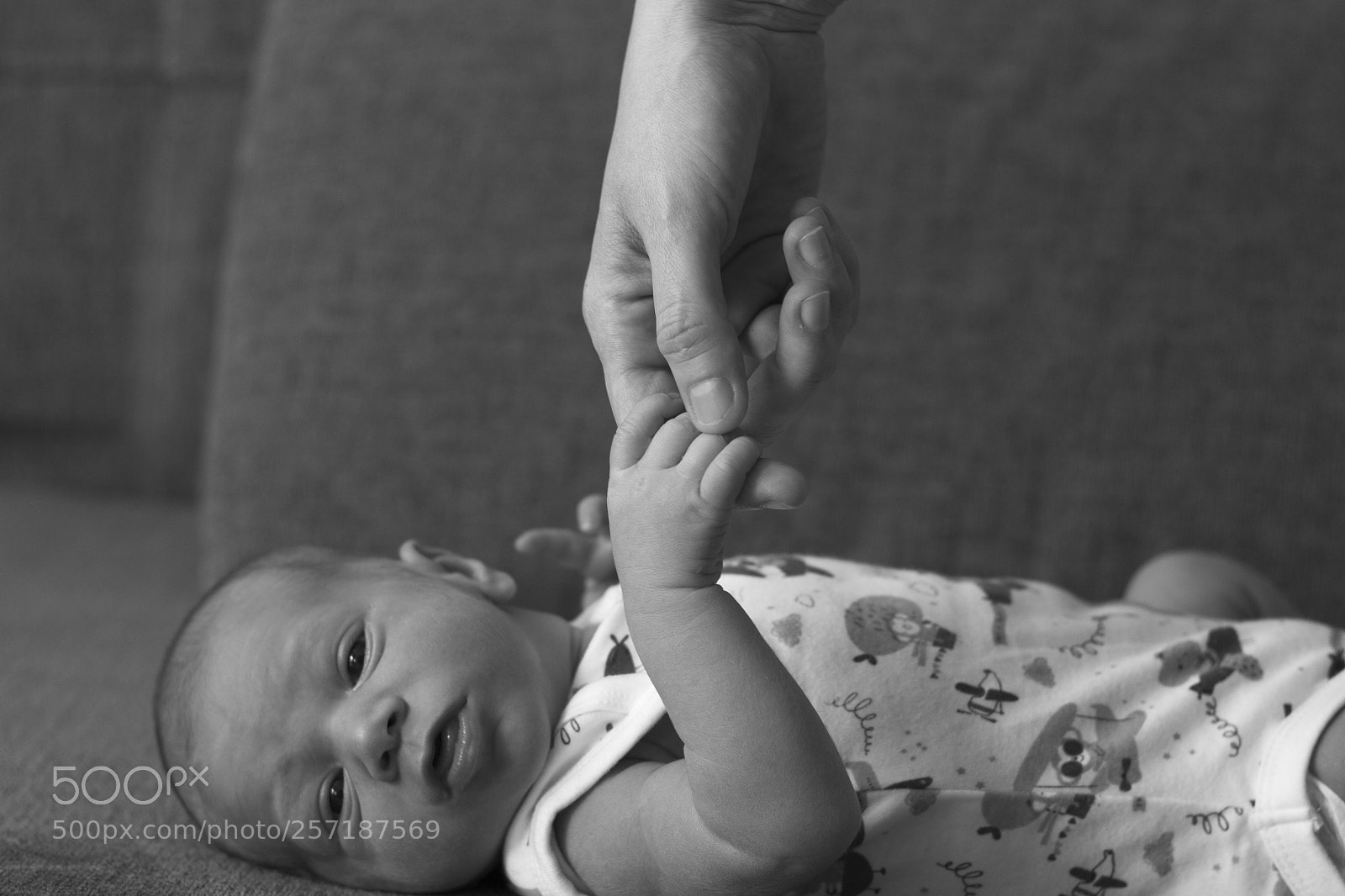 Canon EOS 700D (EOS Rebel T5i / EOS Kiss X7i) sample photo. Hand in hand photography