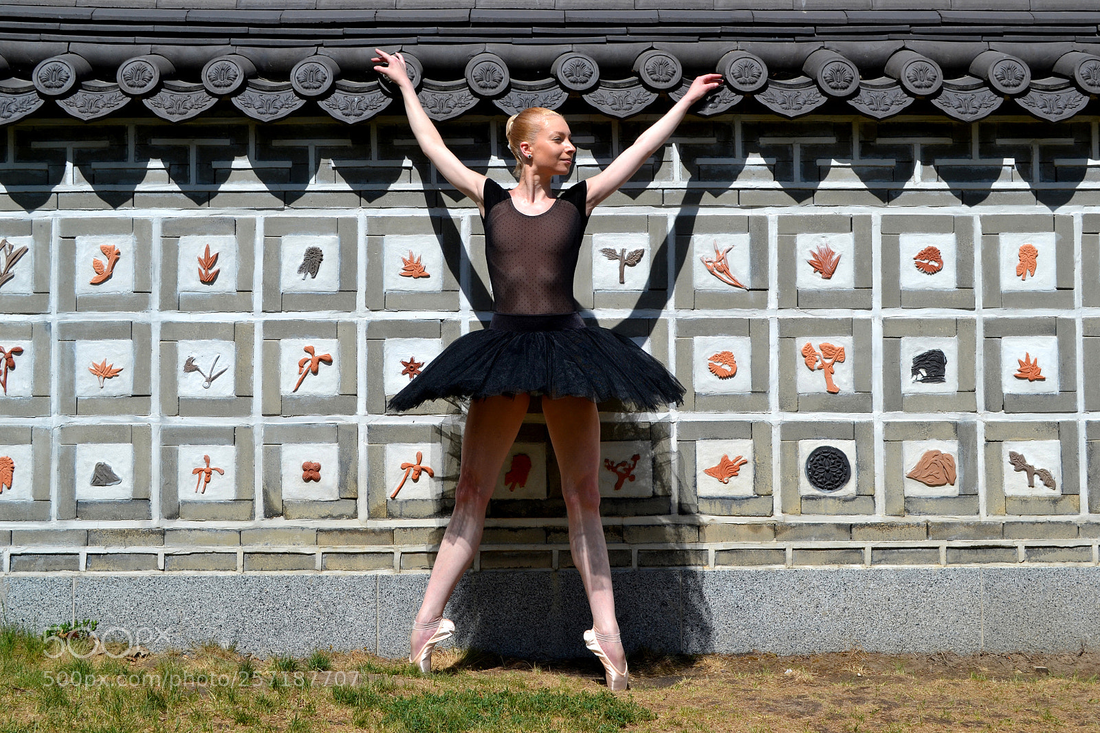 Nikon D3100 sample photo. Балет photography