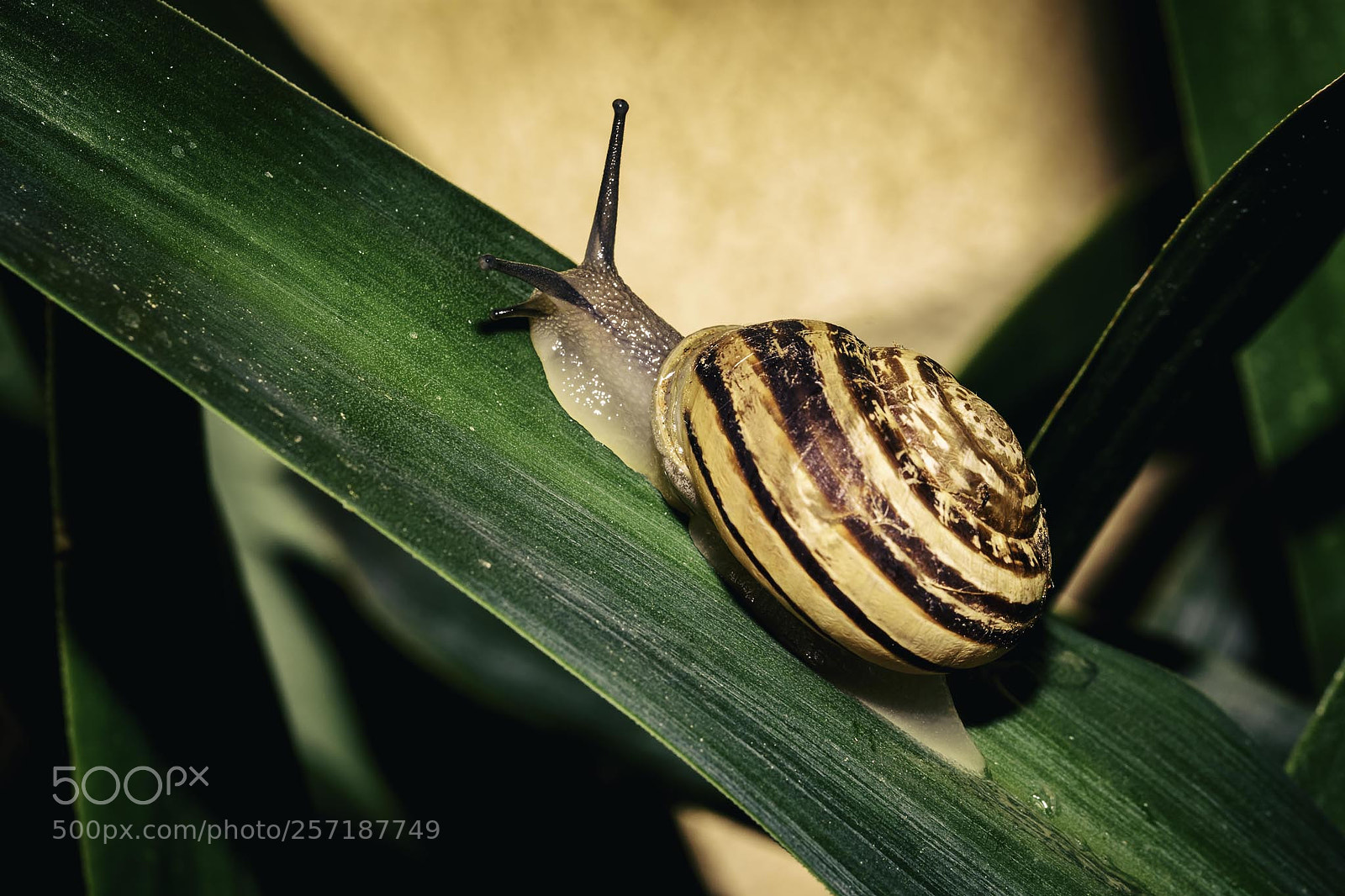 Nikon D7200 sample photo. Untitled photography