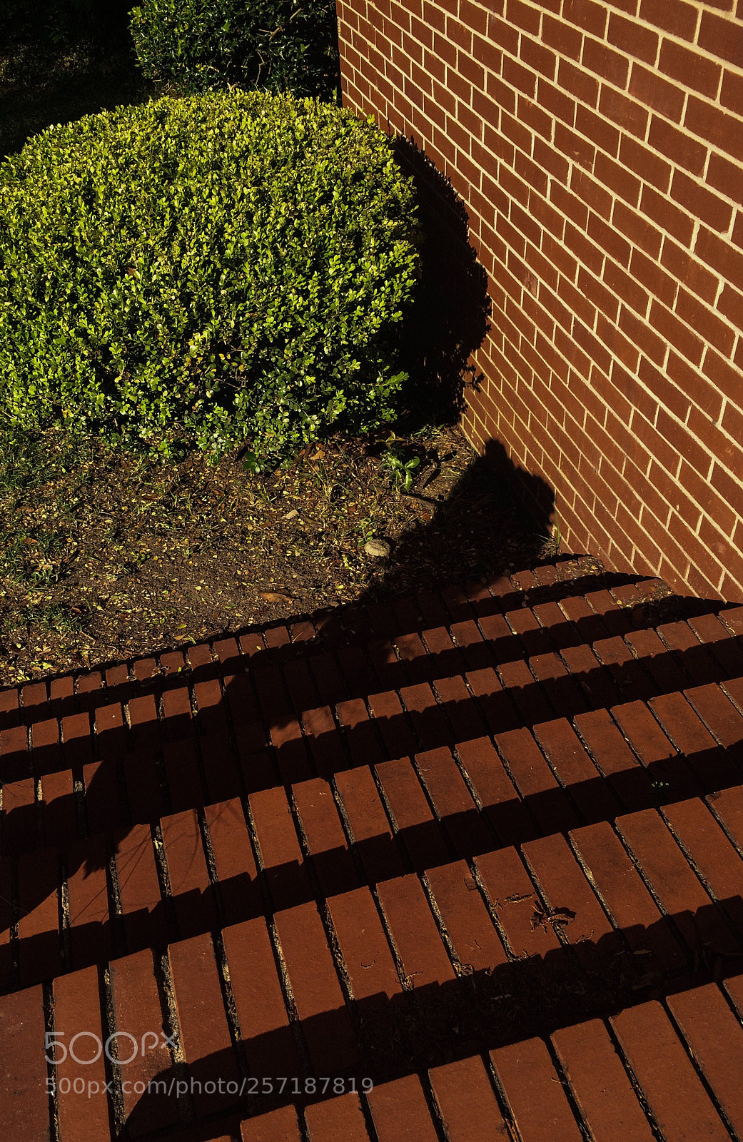 Apple iPhone 5s sample photo. Brick & grass photography