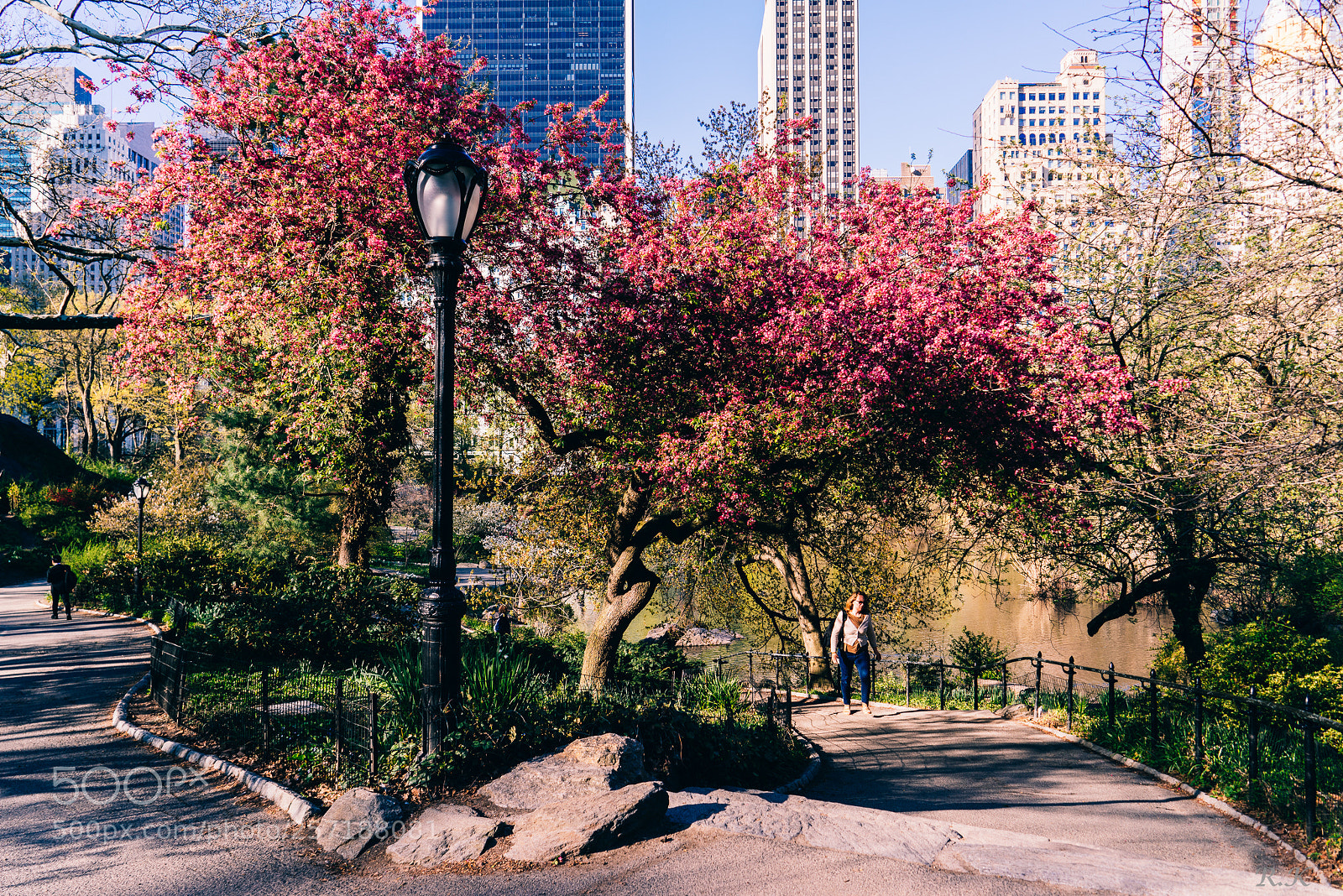 Sony a7R sample photo. The choice is yours! photography