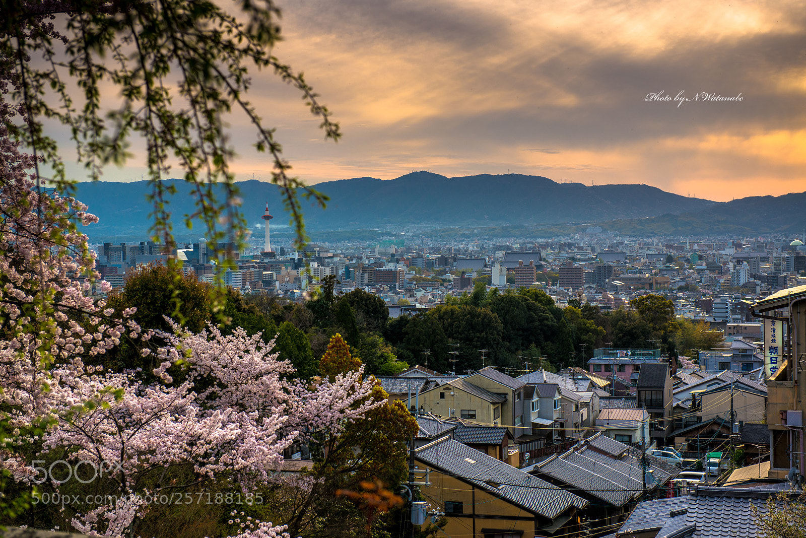 Nikon D800 sample photo. 京都(kyoto) photography