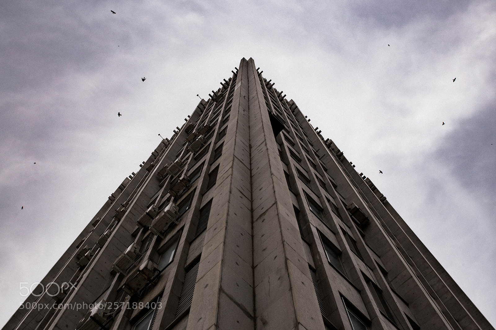 Canon EOS 6D sample photo. Municipality vidin photography