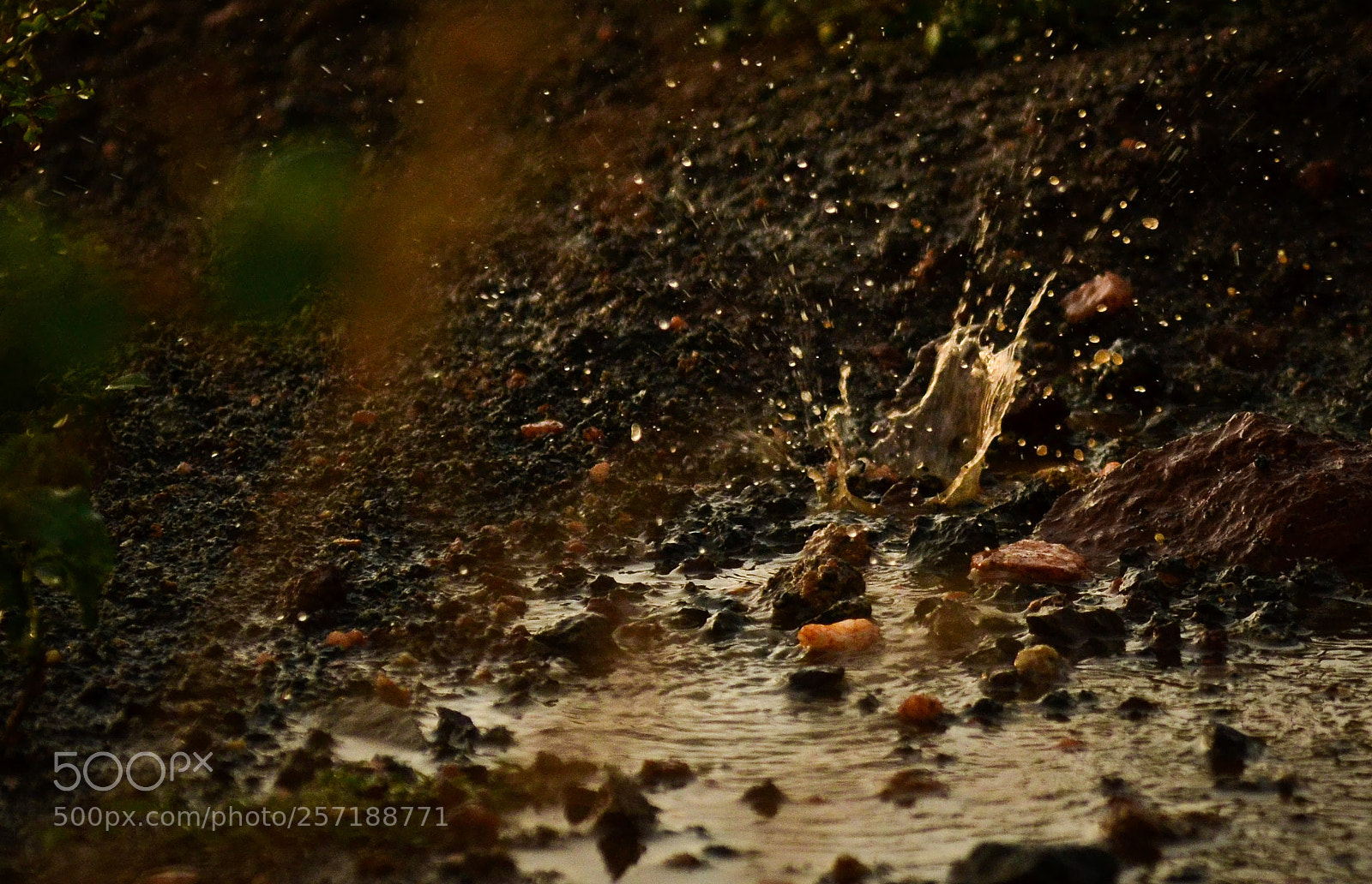 Nikon D3100 sample photo. Touching the heart !!! photography