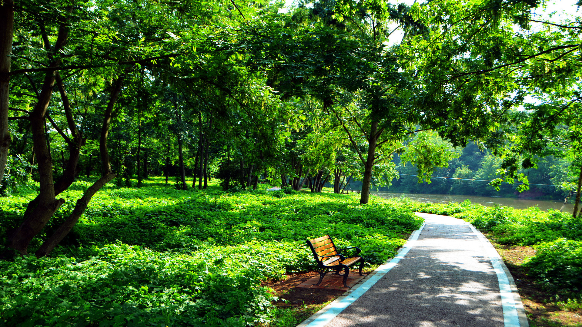 Nikon D7100 sample photo