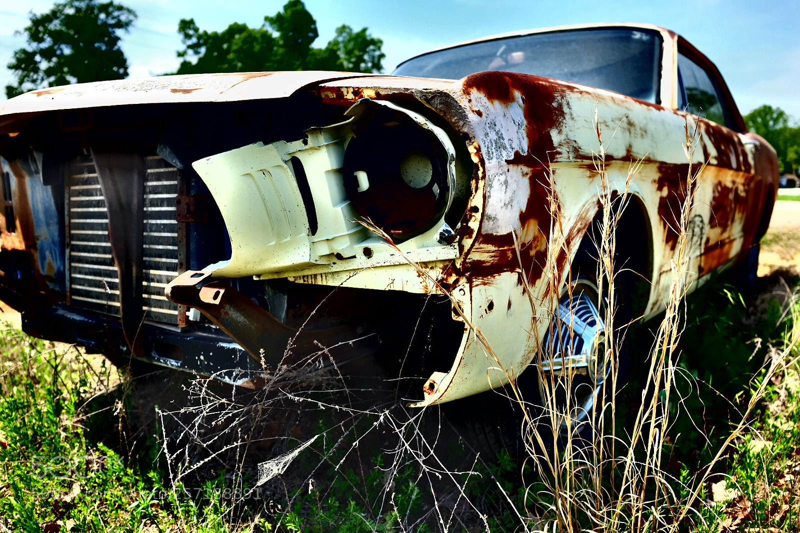Fujifilm X100T sample photo. Rocky‘s auto photography