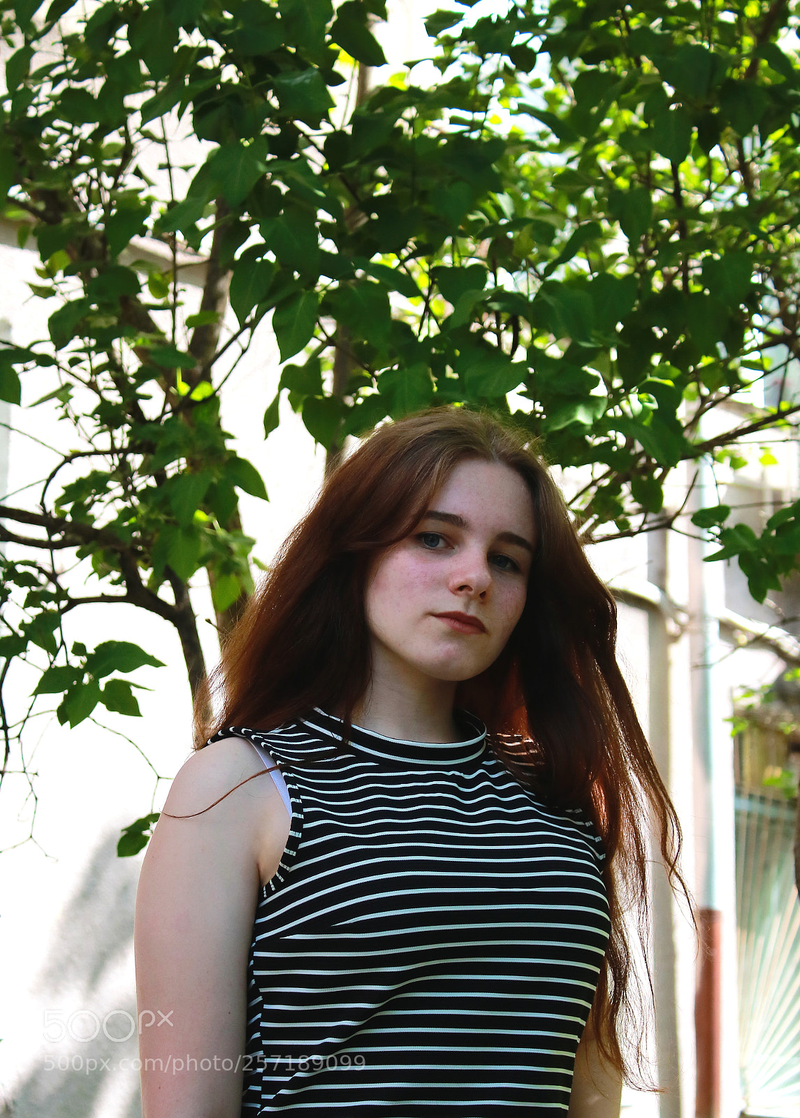 Canon EOS 760D (EOS Rebel T6s / EOS 8000D) sample photo. Untitled photography