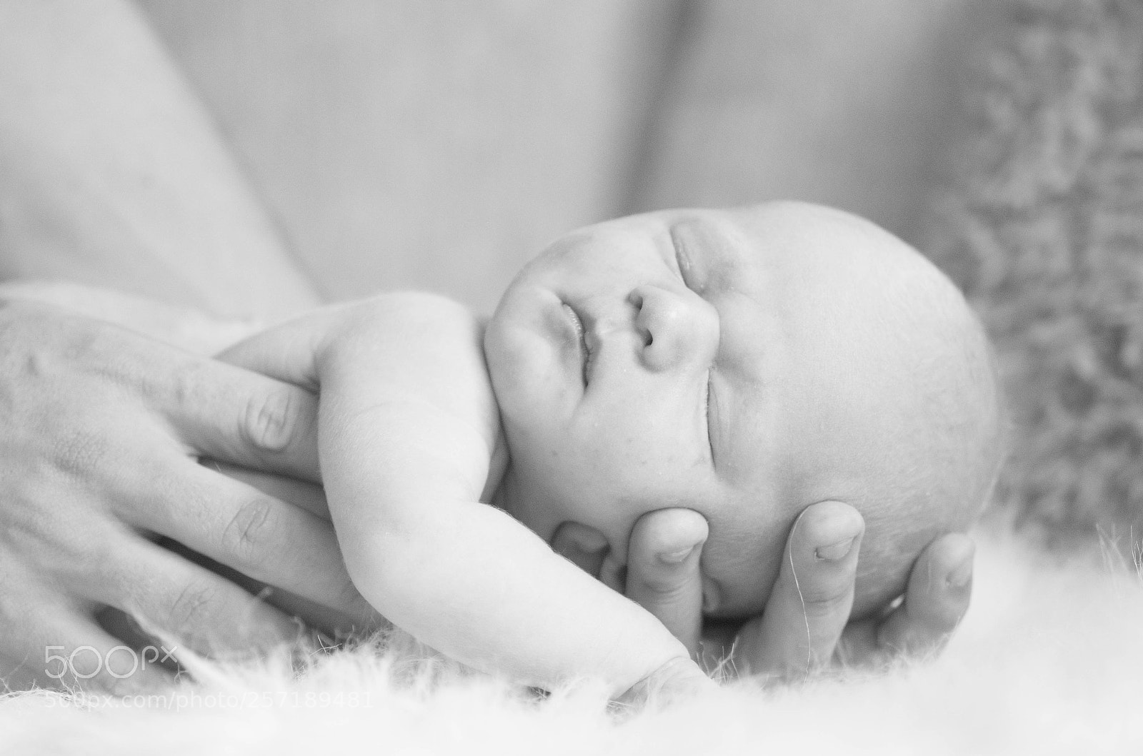 Pentax K-30 sample photo. Sleeping photography