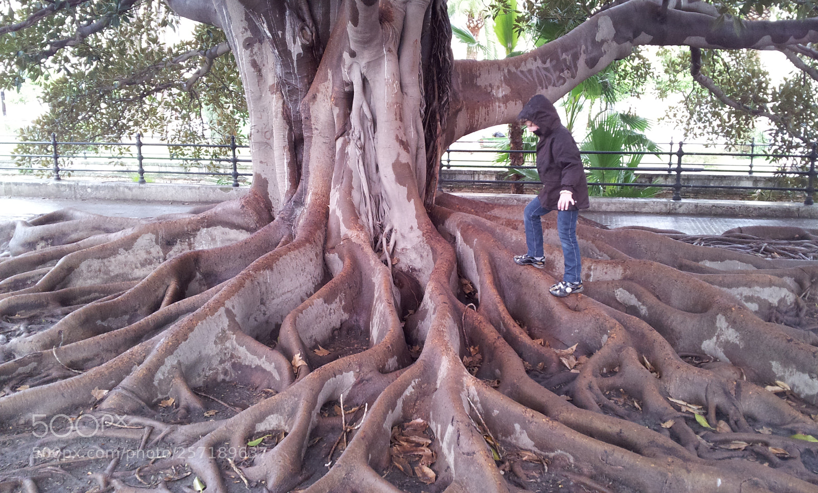Samsung Galaxy S2 sample photo. Untitled photography