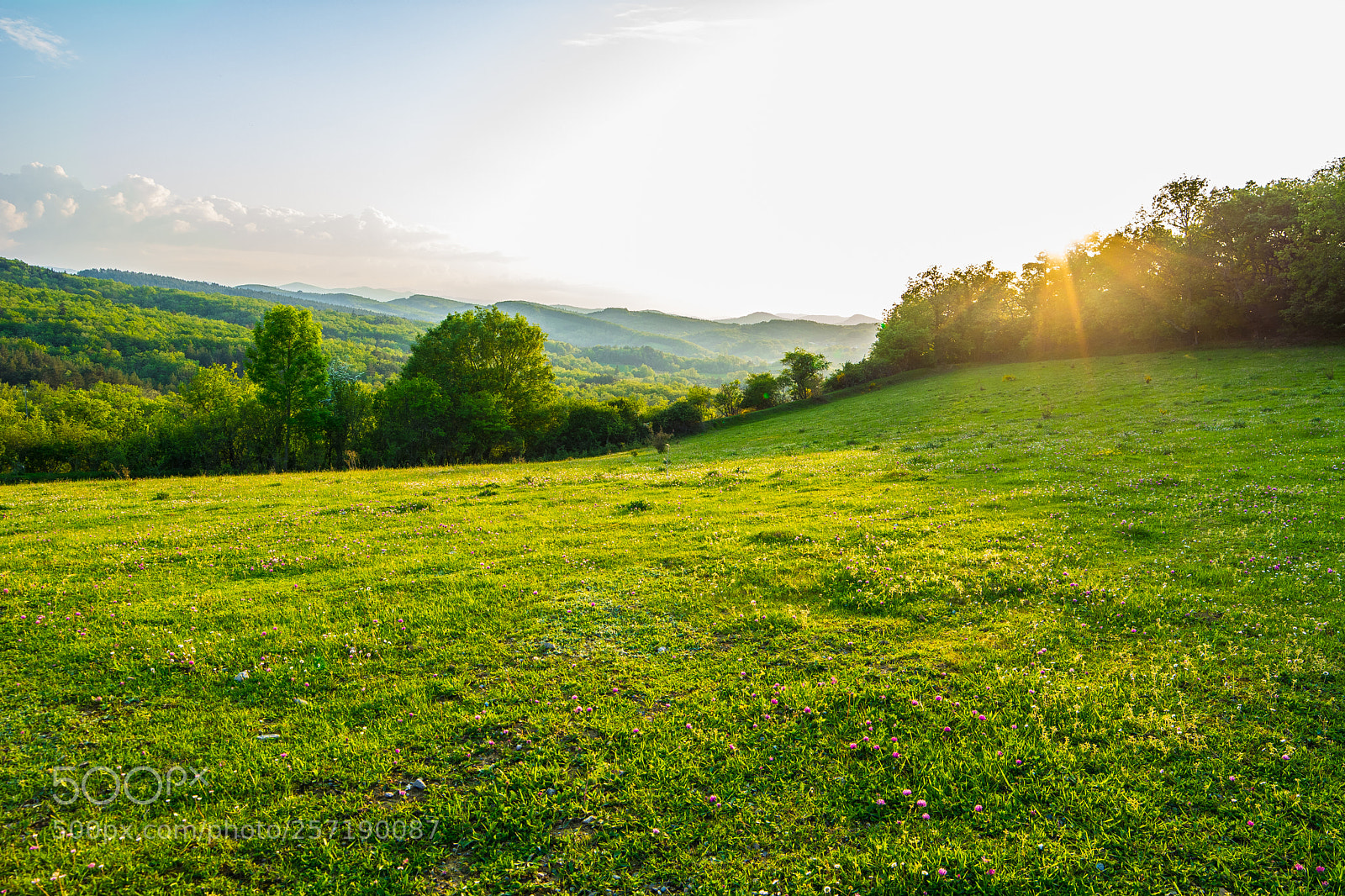 Nikon D5200 sample photo. Sunset on countryside photography