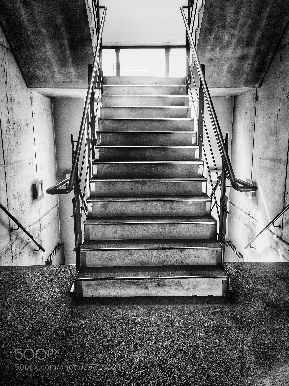 Apple iPhone SE sample photo. Untitled photography