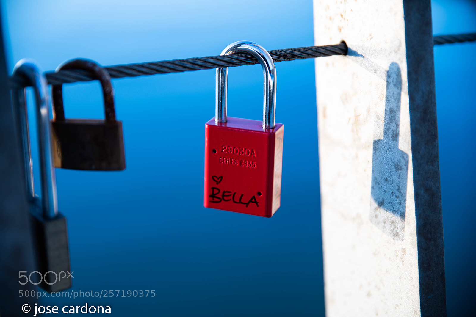 Nikon D850 sample photo. On the bridge photography