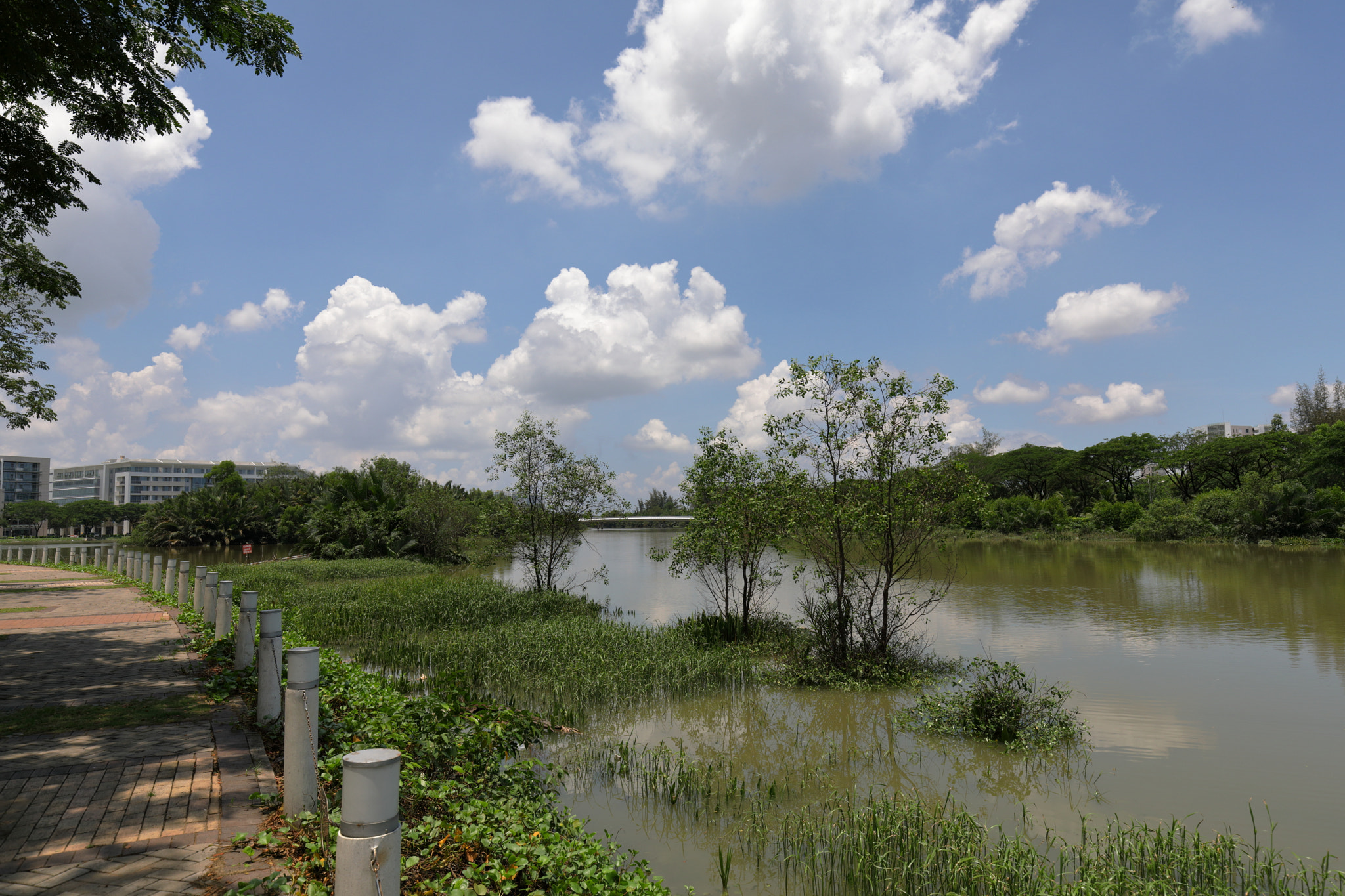 Canon EF 16-35mm F4L IS USM sample photo. Vietnam. photography