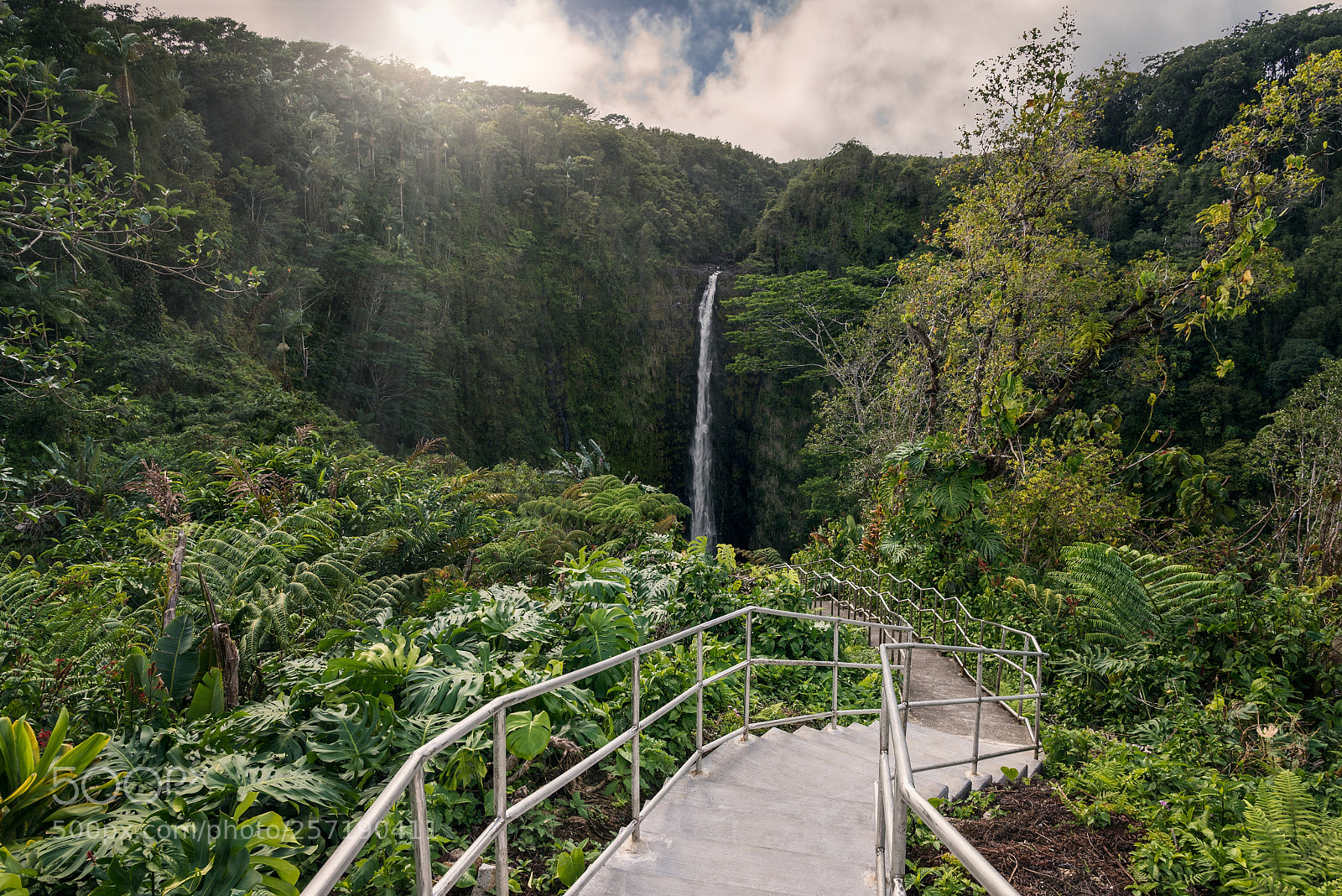 Nikon D750 sample photo. Akaka falls photography