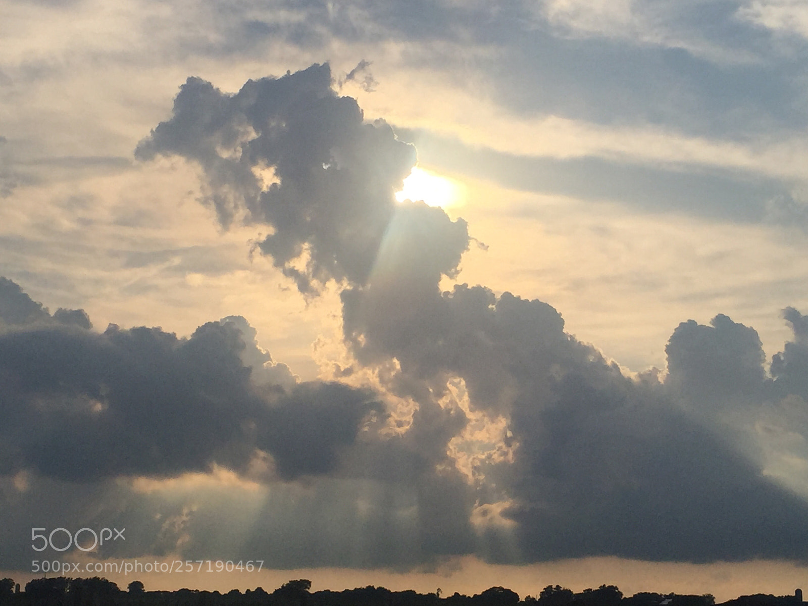 Apple iPhone 6 sample photo. Untitled photography