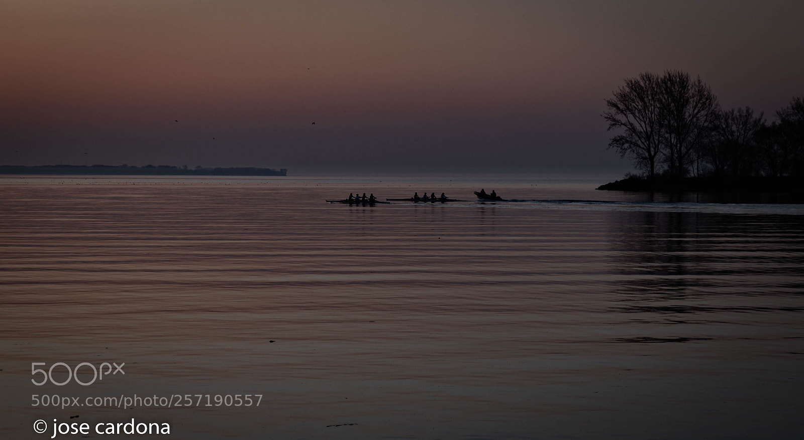 Nikon D850 sample photo. Early morning photography