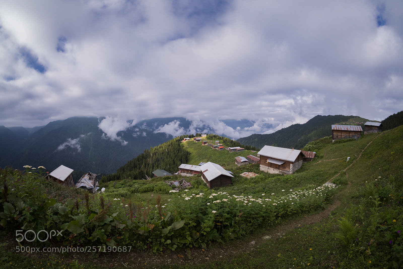 Fujifilm X-T2 sample photo. Pokut photography