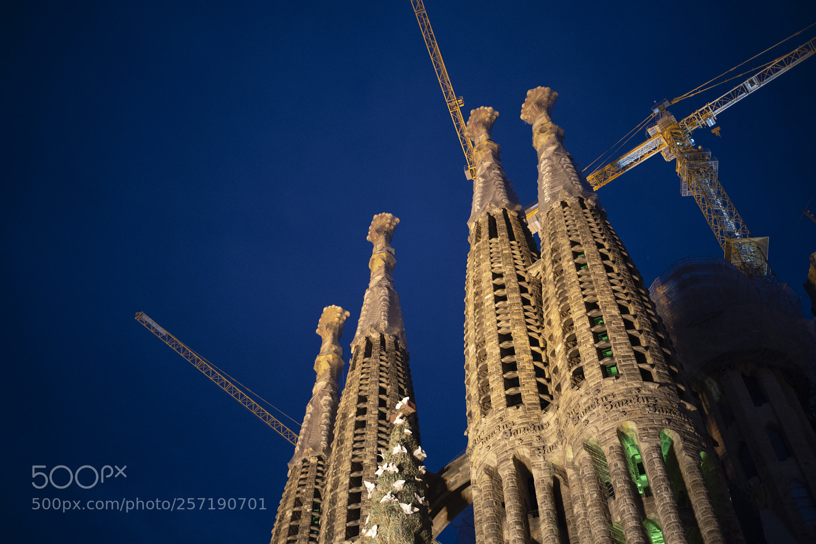 Nikon D750 sample photo. Sagrada familia at night photography