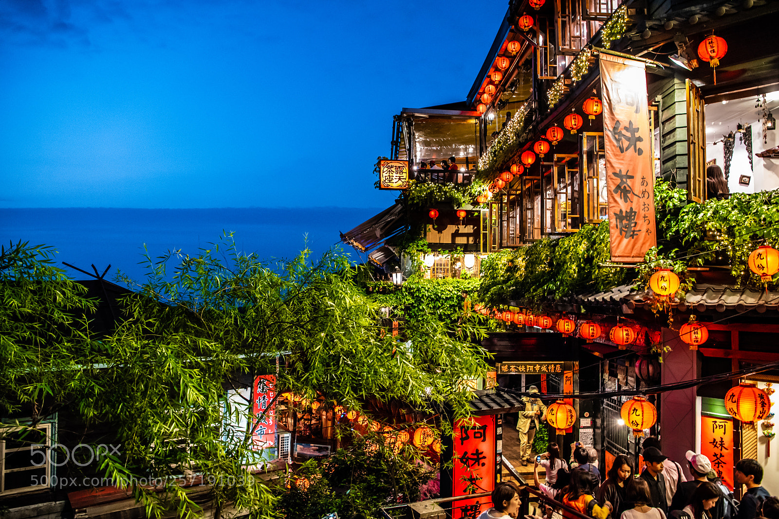 Nikon D750 sample photo. Spirited away photography