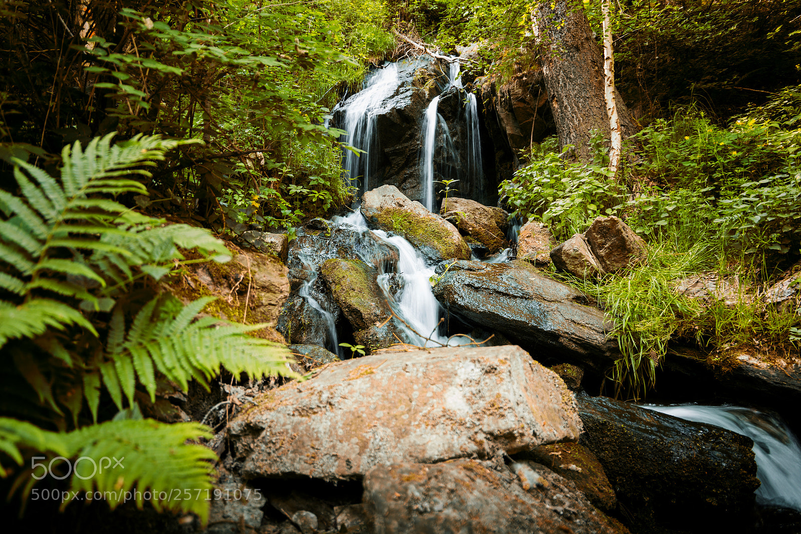 Canon EOS 6D sample photo. Cascade falls over mossy photography