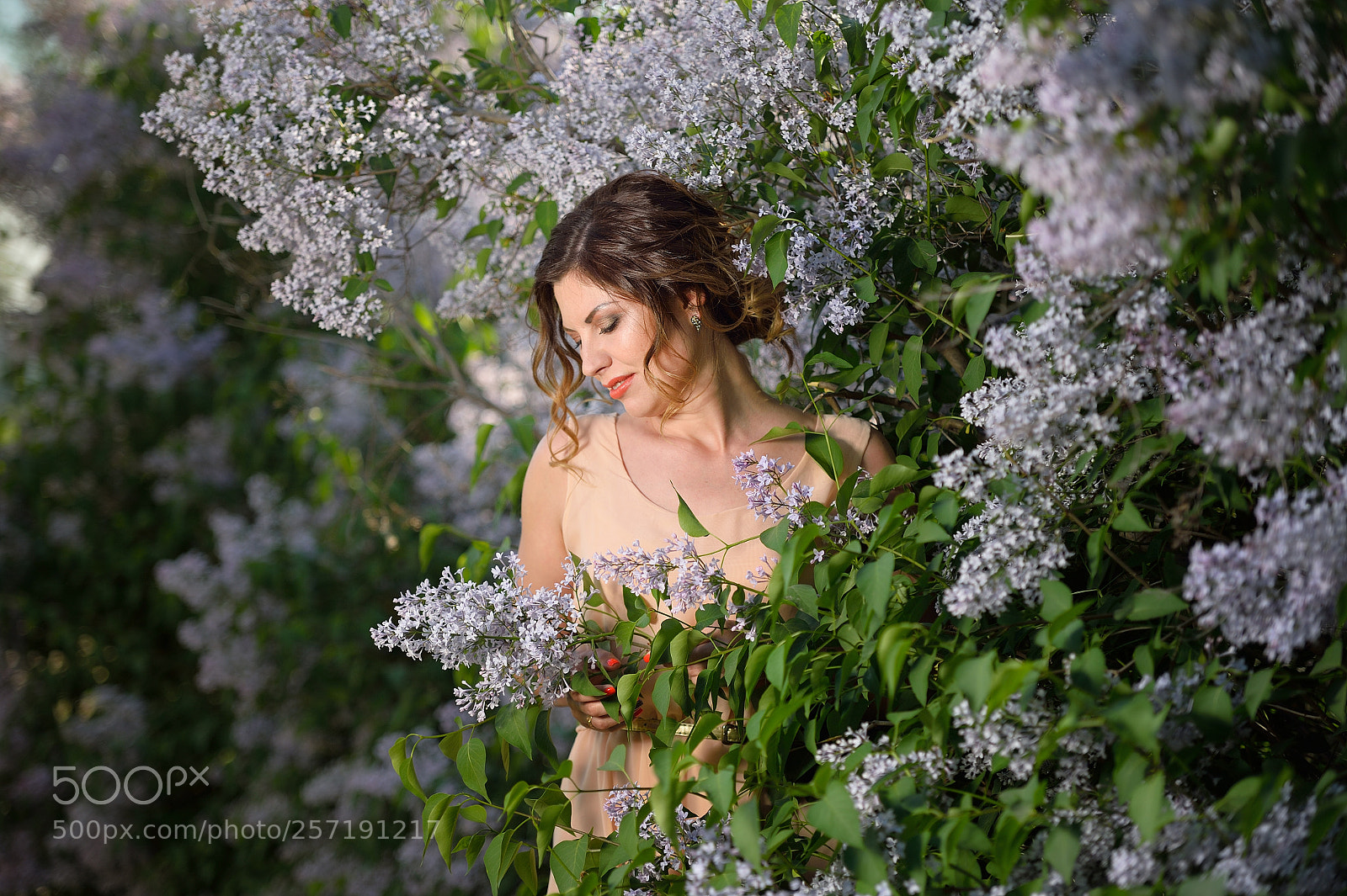 Nikon Df sample photo. In the flowers photography