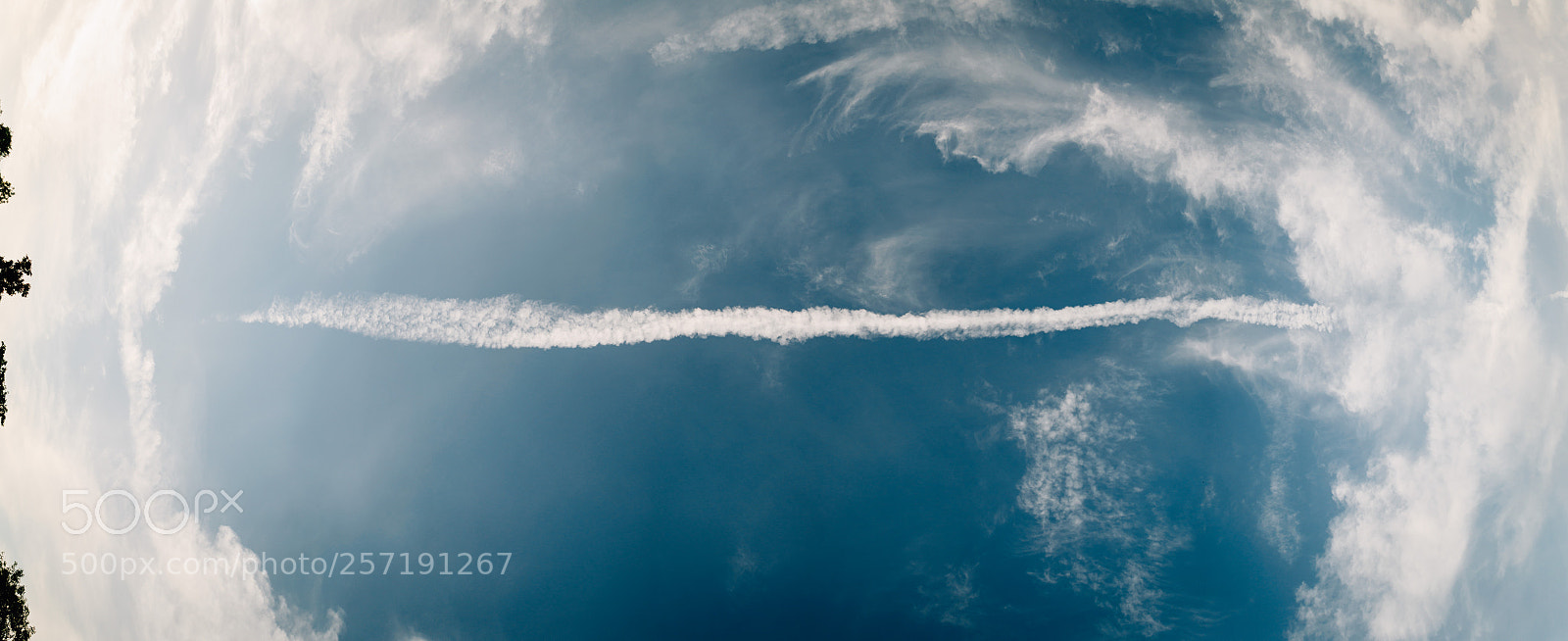 Nikon D5000 sample photo. Blue sky background and photography
