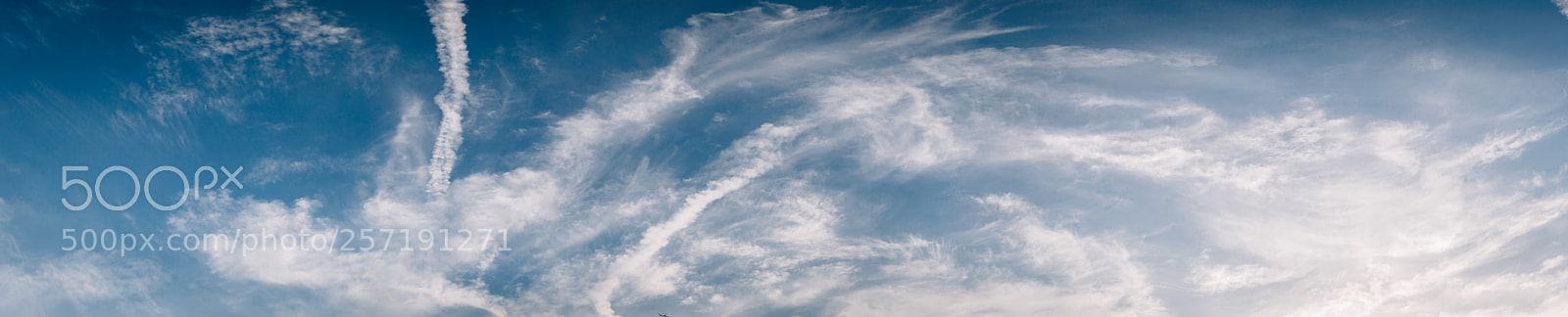 Nikon D5000 sample photo. Blue sky background and photography