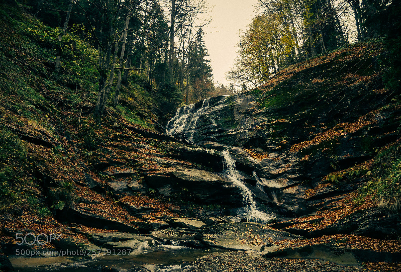 Panasonic Lumix DMC-GH4 sample photo. Wonder of nature photography