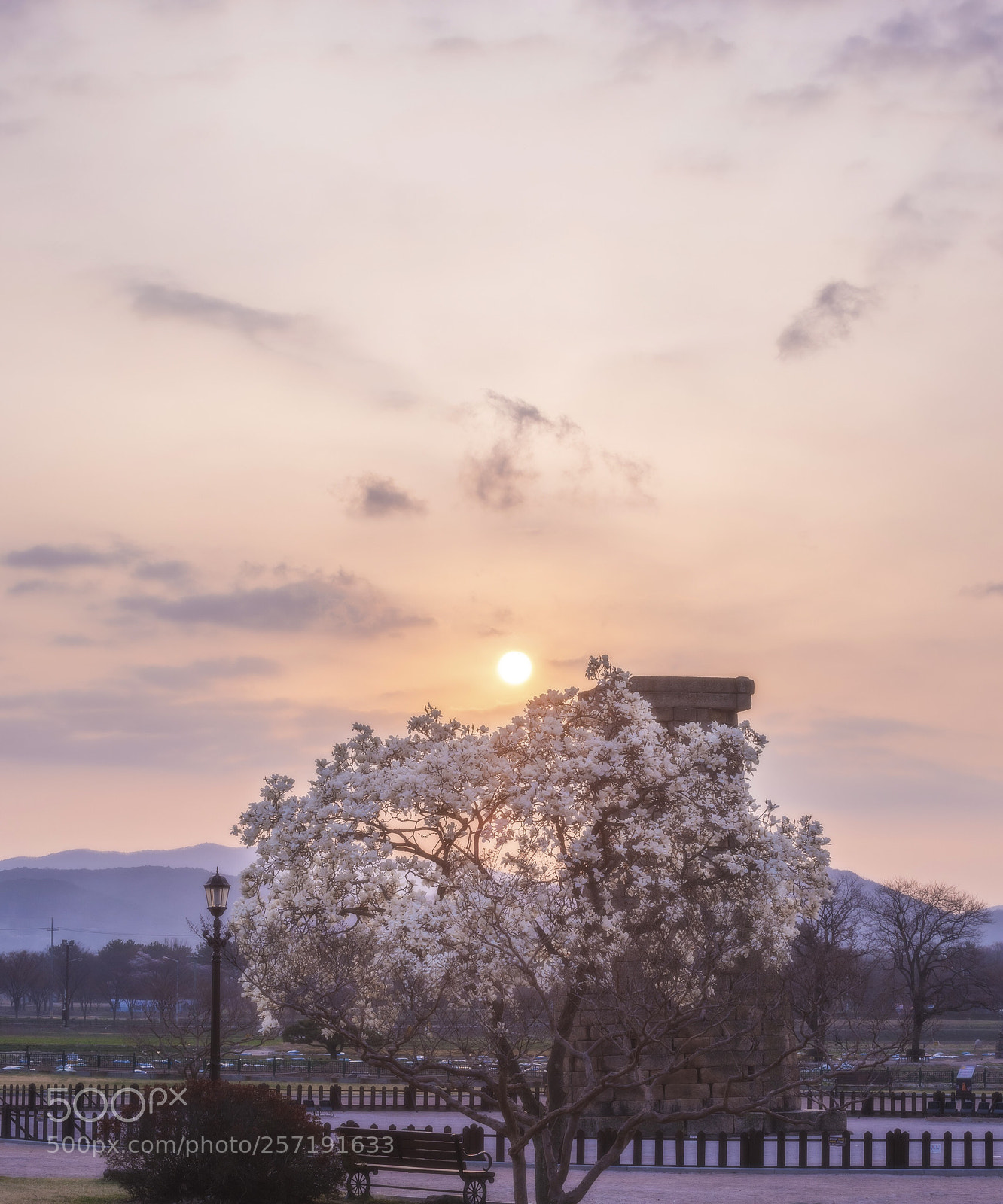 Nikon D810 sample photo. Spring morning light photography